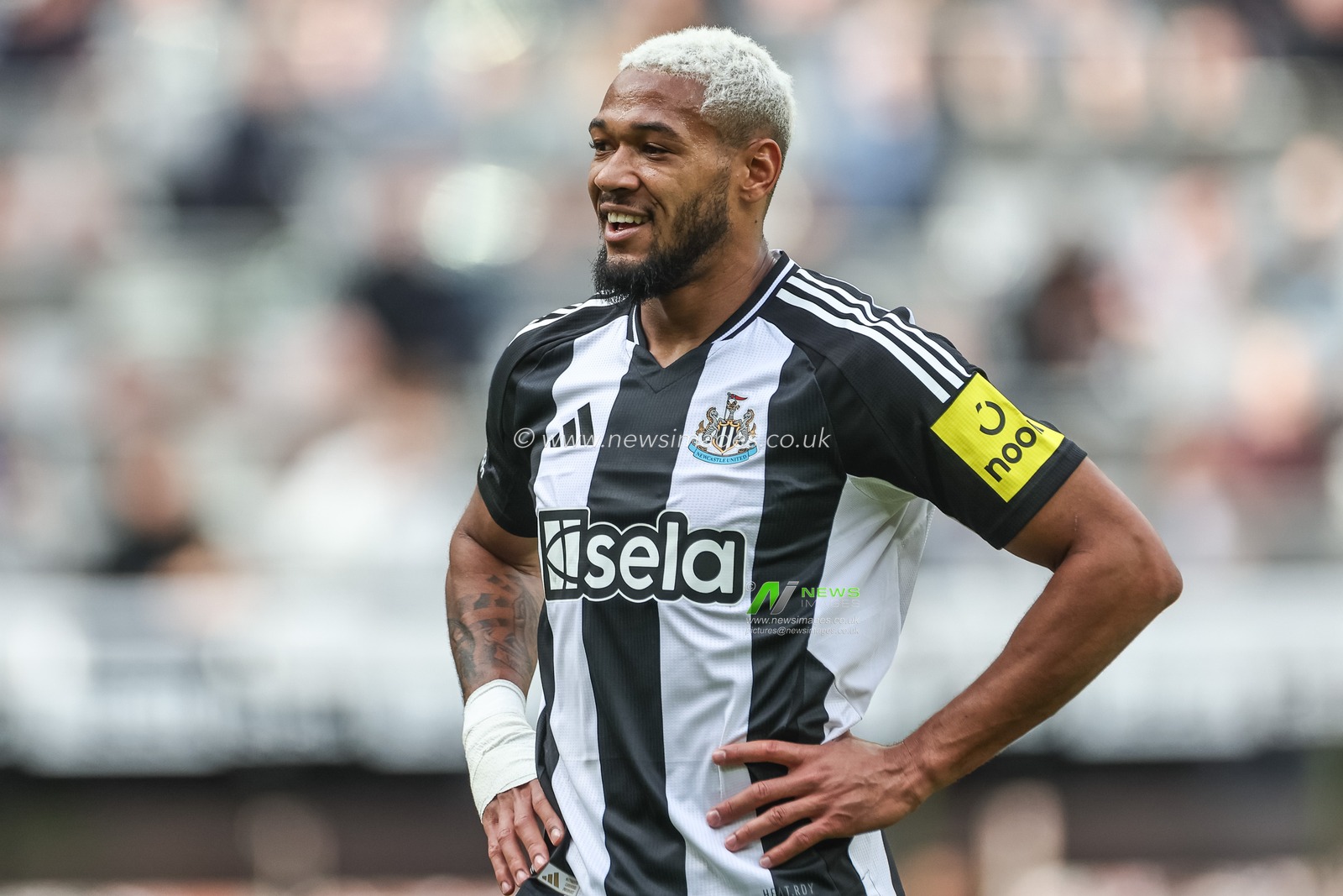 Joelinton of Newcastle United during the Premier League match Newcastle United vs Manchester City at St. James's Park, Newcastle, United Kingdom, 28th September 2024

(Photo by Mark Cosgrove/News Images)