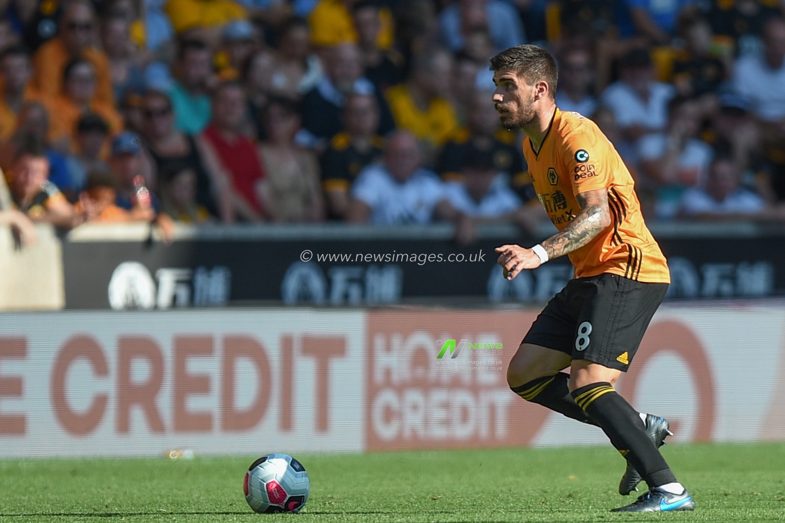 25th August 2019, Molineux Stadium, Wolverhampton, England ; Premier League Football, Wolverhampton Wanderers vs Burnley ; Ruben Neves (8) of Wolverhampton Wanderers in action during the game

Credit: Richard Long/News Images

English Football League images are subject to DataCo Licence