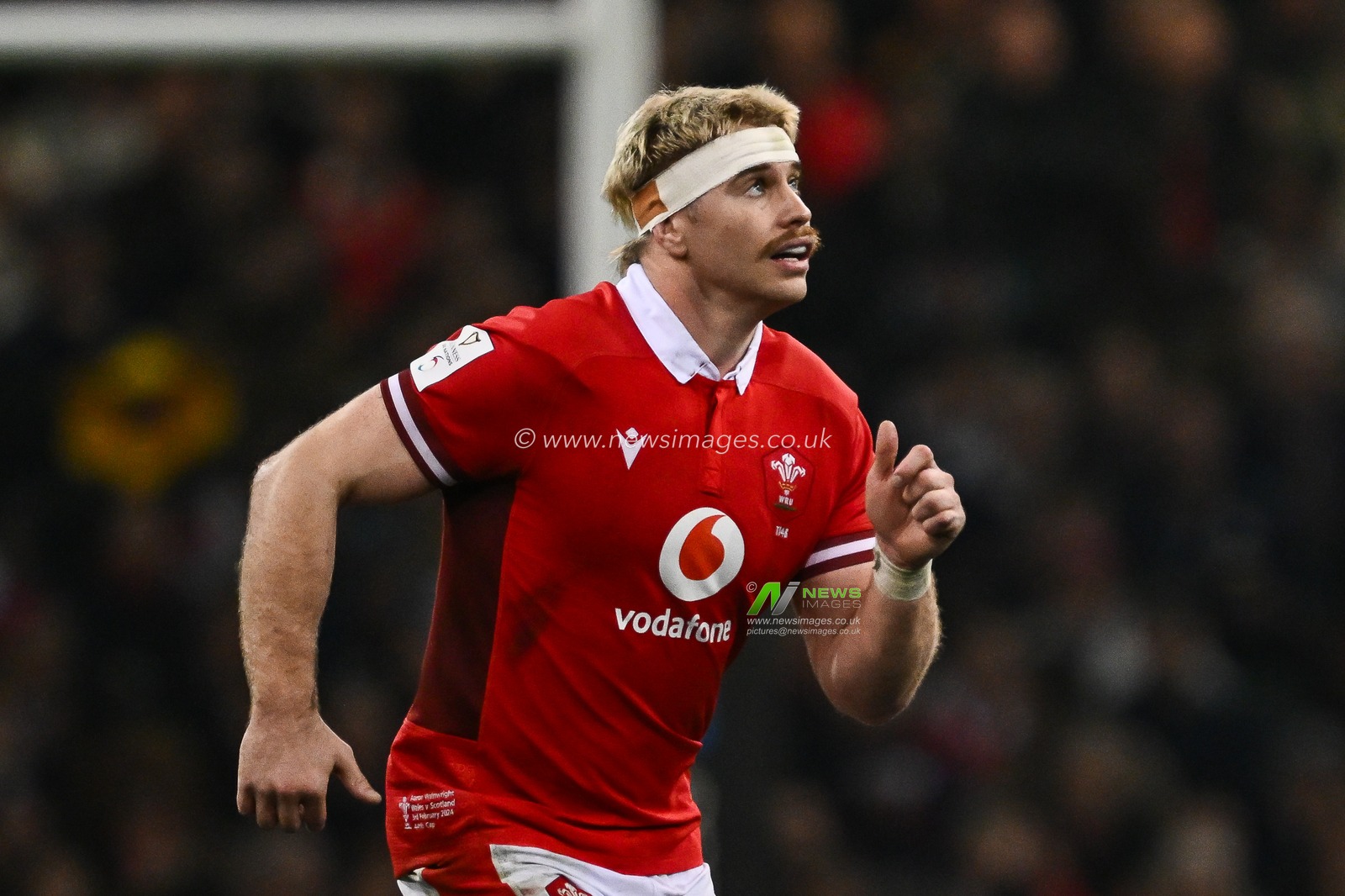 Aaron Wainwright of Wales during the 2024 Guinness 6 Nations match Wales vs Scotland at Principality Stadium, Cardiff, United Kingdom, 3rd February 2024

(Photo by Craig Thomas/News Images)