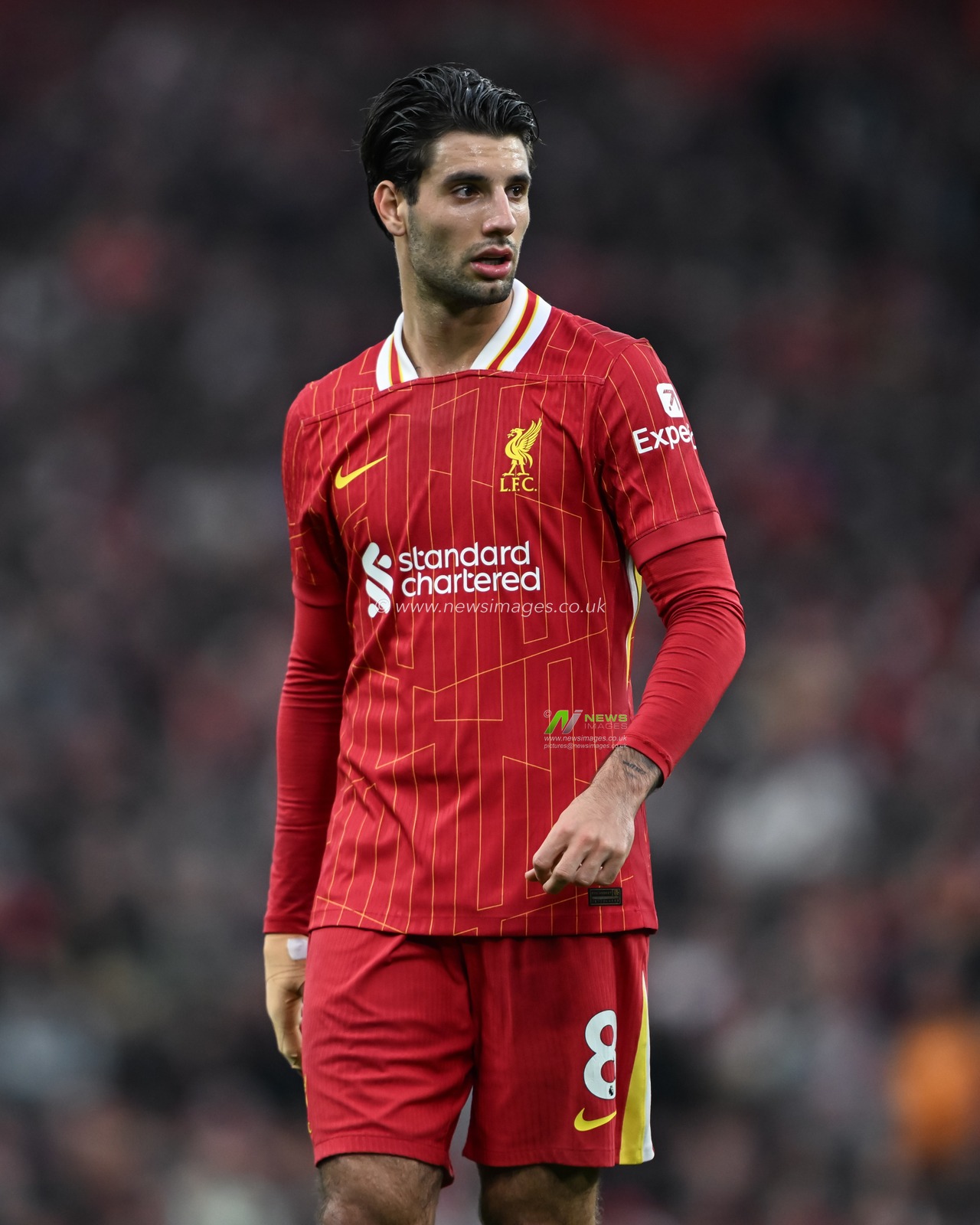Dominik Szoboszlai of Liverpool during the Premier League match Liverpool vs Brighton and Hove Albion at Anfield, Liverpool, United Kingdom, 2nd November 2024

(Photo by Cody Froggatt/News Images)