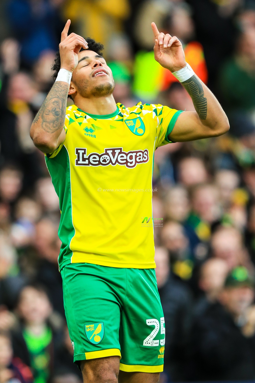 26th January 2019, Carrow Road, Norfolk, England; Sky Bet Championship, Norwich City vs Sheffield United ;  Onel Hernandez (25) of Norwich City celebrates opening the scoring at Carrow Road


Credit: Georgie Kerr/News Images

English Football League images are subject to DataCo Licence