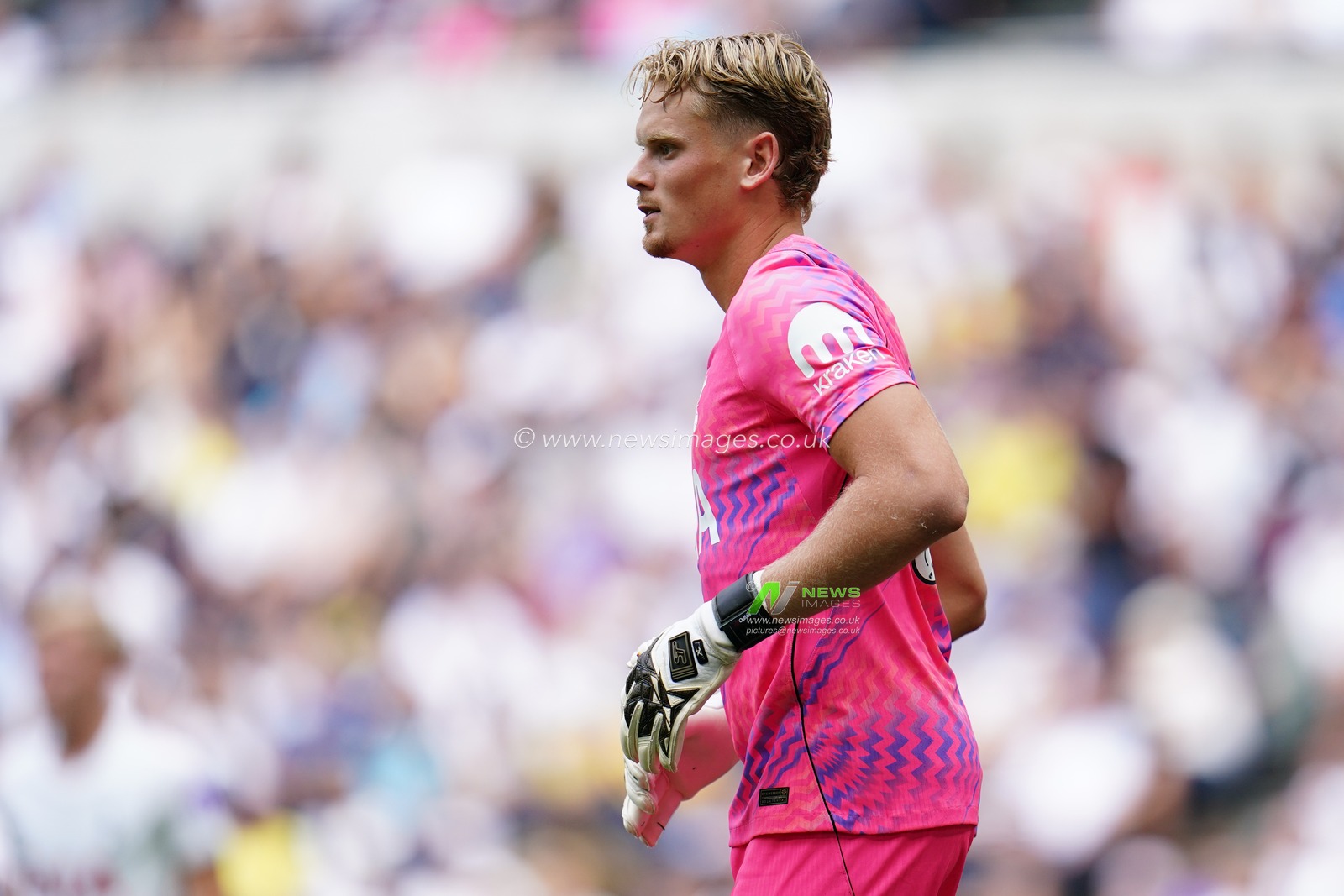 pre-season friendly: Tottenham Hotspur v Hoffenheim