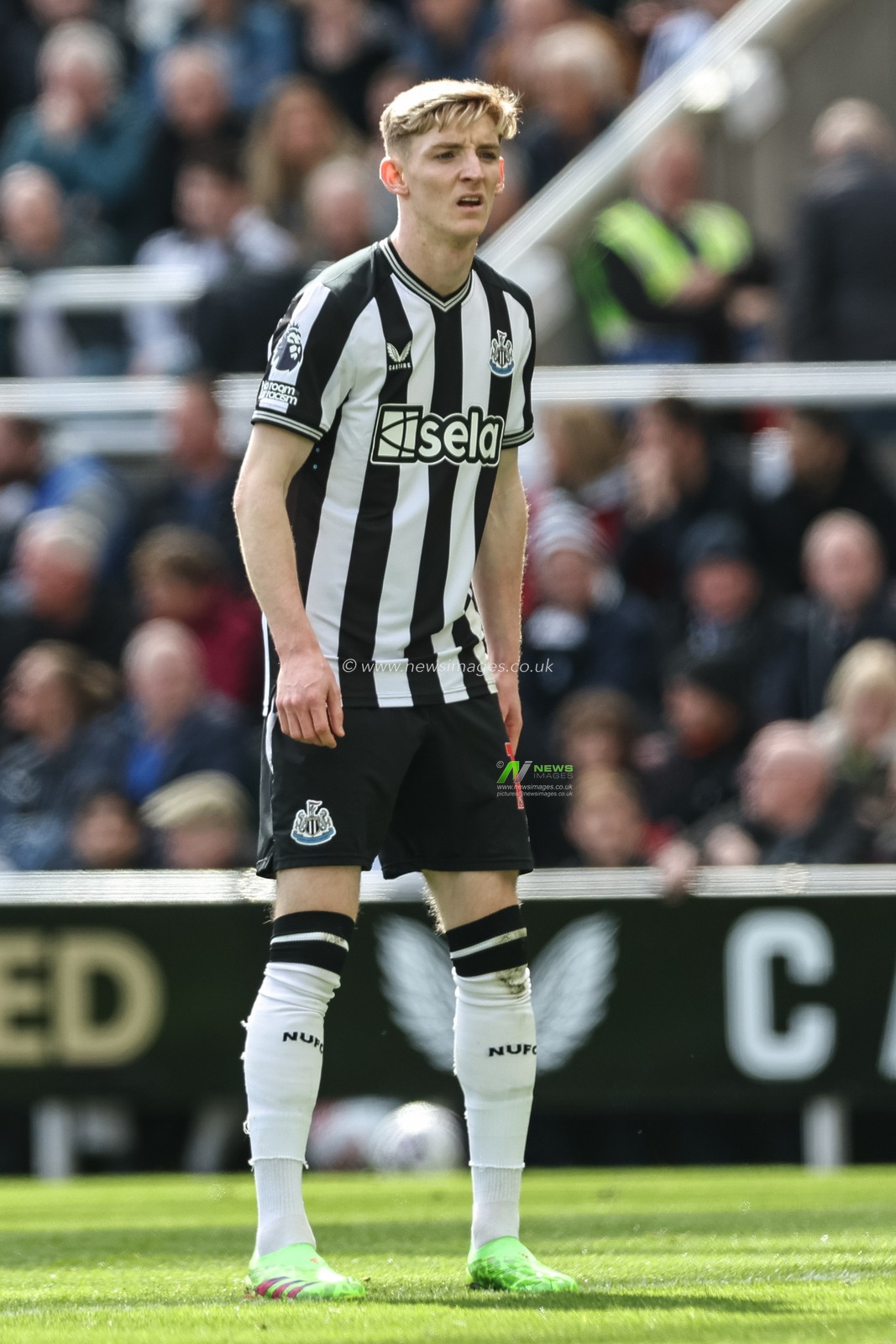 Anthony Gordon of Newcastle United during the Premier League match Newcastle United vs West Ham United at St. James's Park, Newcastle, United Kingdom, 30th March 2024

(Photo by Mark Cosgrove/News Images)