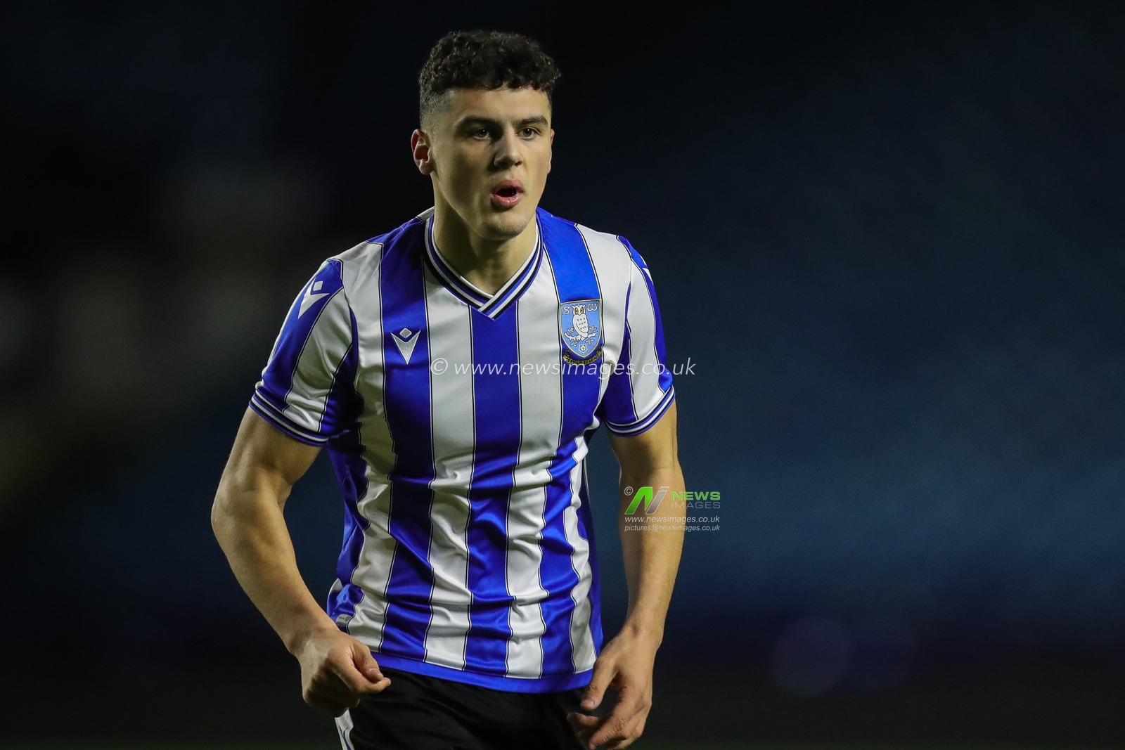 Bailey-Tye Cadamarteri #9 of Sheffield Wednesday during the FA Youth Cup U18â€™s match Sheffield Wednesday U18's vs Leicester City U18's at Hillsborough, Sheffield, United Kingdom, 13th January 2023

(Photo by James Heaton/News Images)