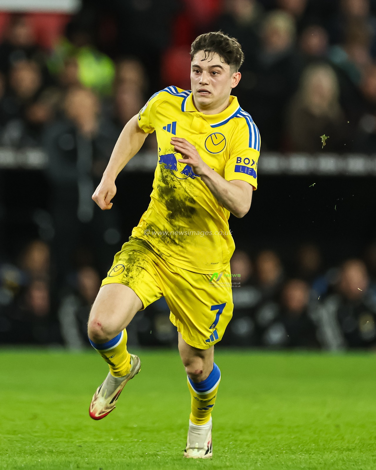 Daniel James of Leeds United in action during the Sky Bet Championship match Sheffield United vs Leeds United at Bramall Lane, Sheffield, United Kingdom, 24th February 2025

(Photo by Mark Cosgrove/News Images)
