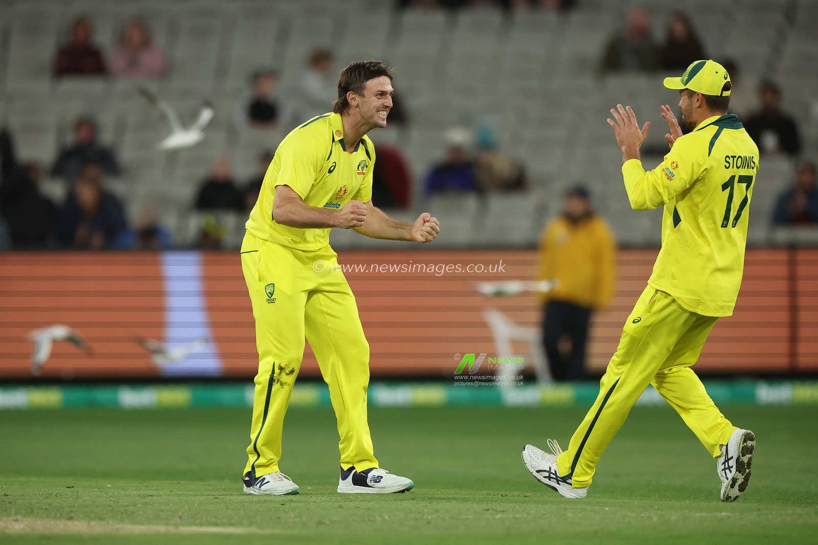 Mitchell Marsh of Australia  celebrates taking the wicket of Liam Dawson of England during the Dettol ODI Series match Australia vs England at Melbourne Cricket Ground, Melbourne, Australia, 22nd November 2022

(Photo by Patrick Hoelscher/News Images)