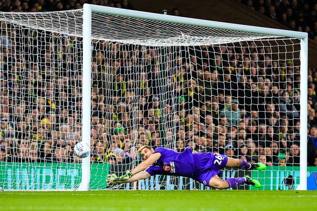 Sky Bet EFL Championship Norwich City vs Reading