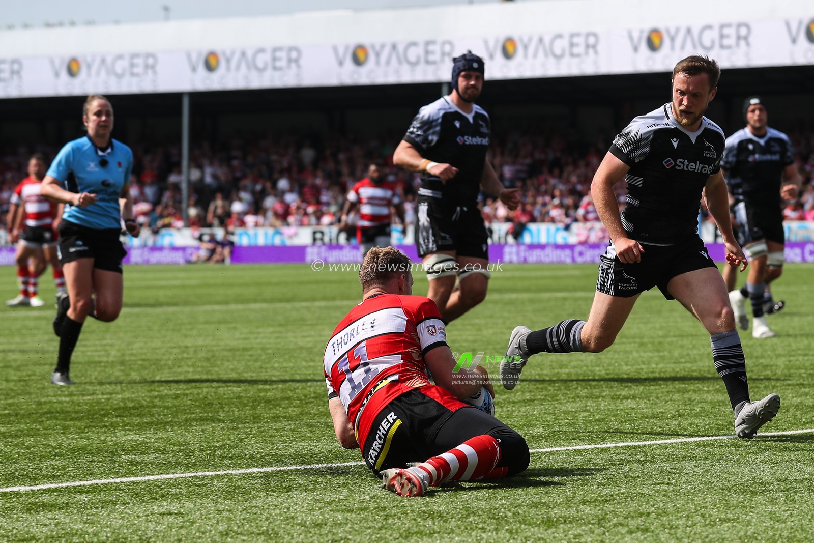 Ollie Thorley of Gloucester Rugby goes over for a try and makes the score 26-7 during the Gallagher Premiership match Gloucester Rugby vs Newcastle Falcons at Kingsholm Stadium , Gloucester, United Kingdom, 18th May 2024

(Photo by Gareth Evans/News Images)