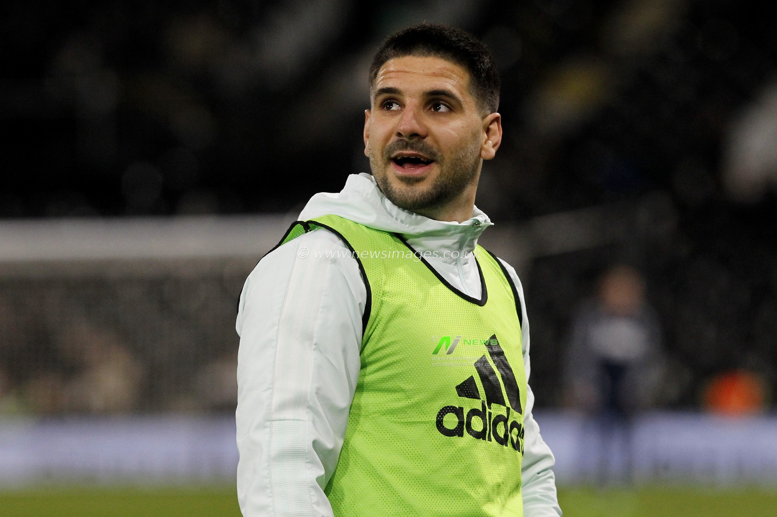 Aleksandar Mitrovic #9 of Fulham.