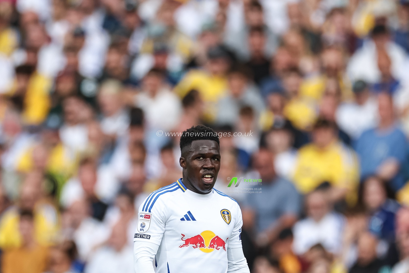 Wilfried Gnonto of Leeds United during the Sky Bet Championship match Leeds United vs Portsmouth at Elland Road, Leeds, United Kingdom, 10th August 2024

(Photo by Mark Cosgrove/News Images)