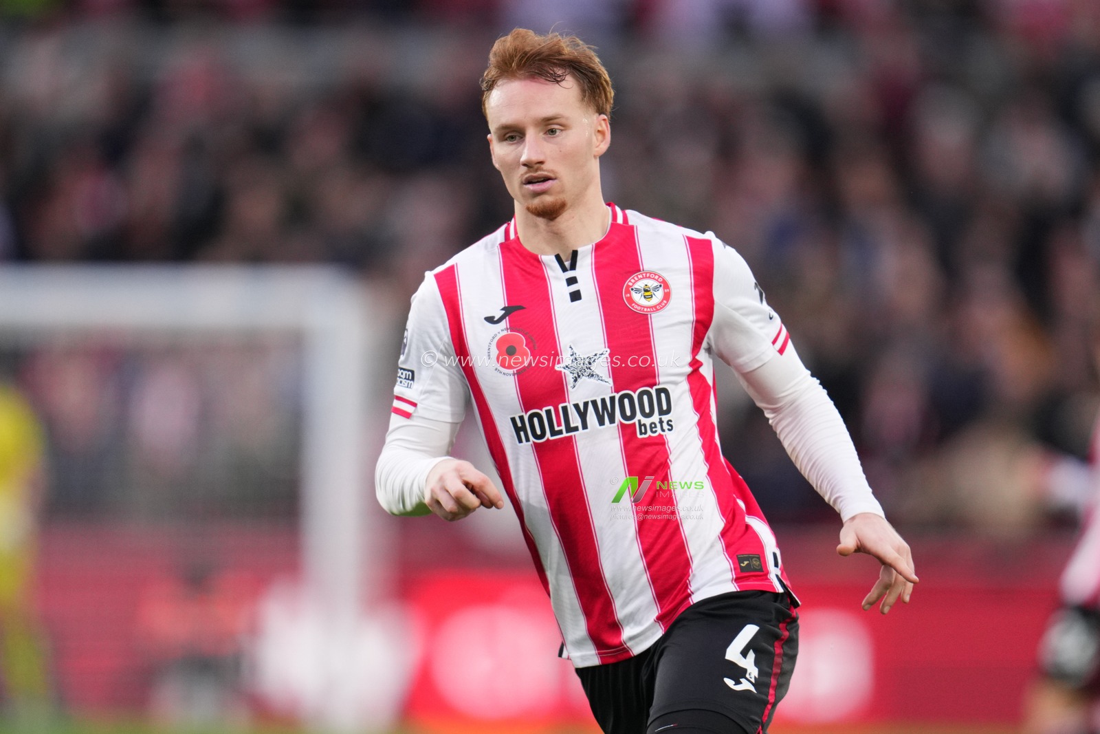 Sepp van den Berg of Brentford during the Premier League match Brentford vs Newcastle United at The Gtech Community Stadium, London, United Kingdom, 9th November 2025

(Photo by Harvey Murphy/News Images)

*** GER AUT SUI OUT ***
