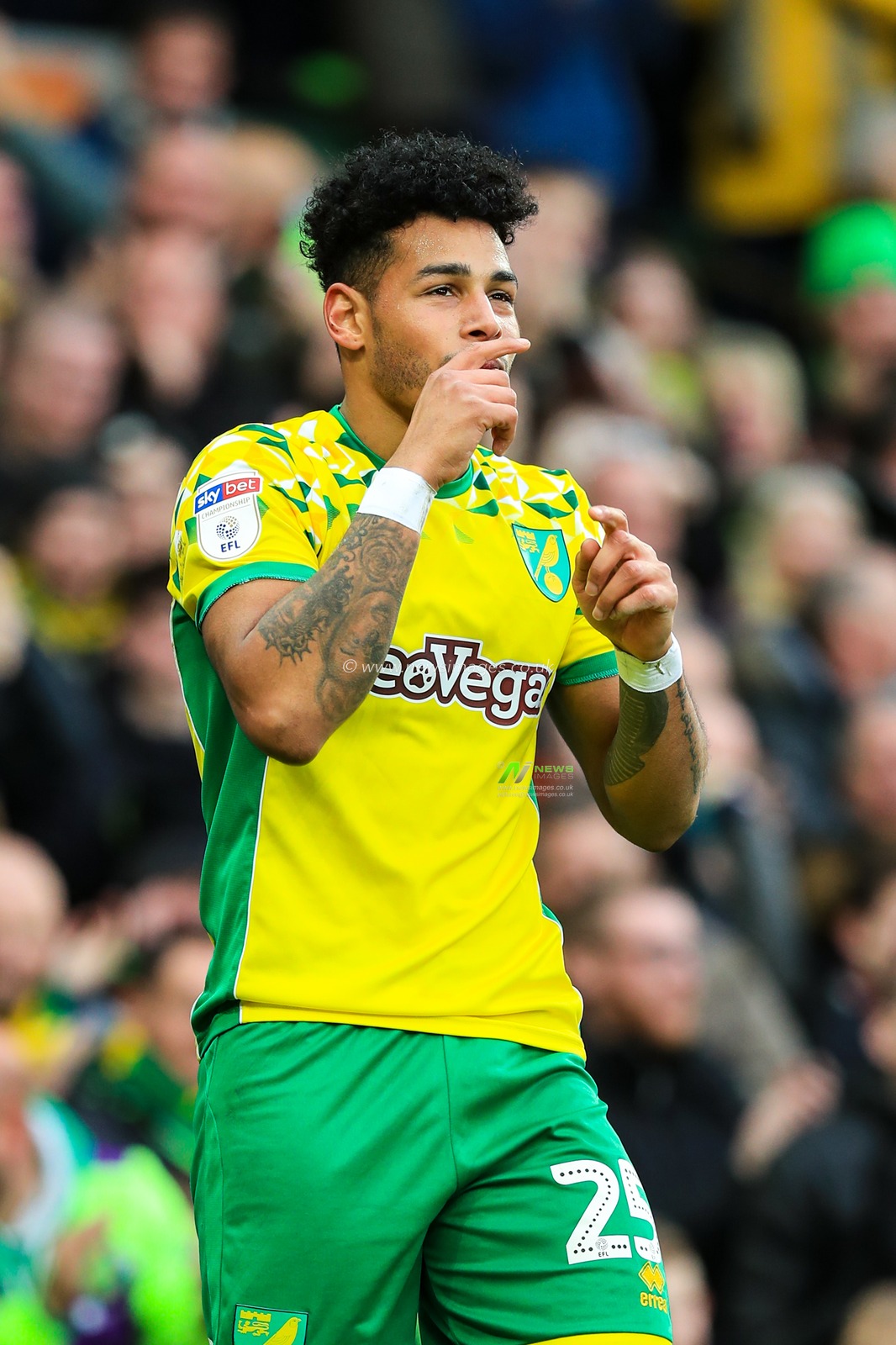 26th January 2019, Carrow Road, Norfolk, England; Sky Bet Championship, Norwich City vs Sheffield United ;  Onel Hernandez (25) of Norwich City celebrates opening the scoring at Carrow Road


Credit: Georgie Kerr/News Images

English Football League images are subject to DataCo Licence