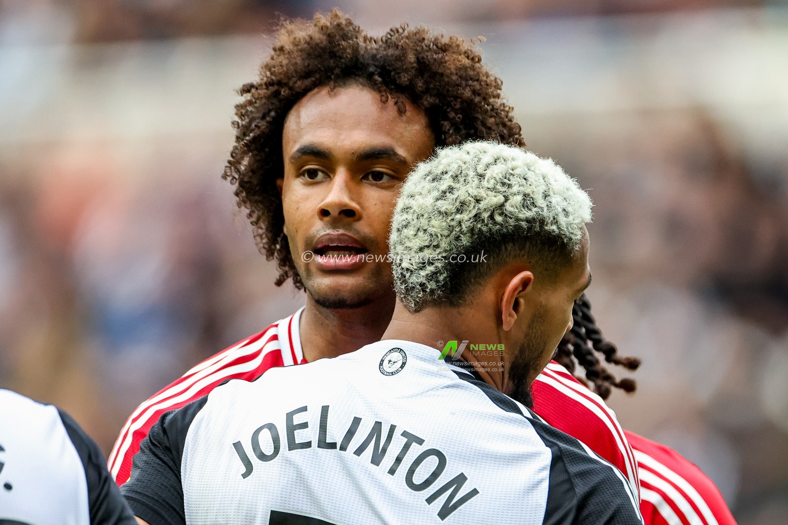 Joelinton of Newcastle United battles in the box with Joshua Zirkzee of Manchester United during the Premier League match Newcastle United vs Manchester United at St. James's Park, Newcastle, United Kingdom, 13th April 2025

(Photo by Mark Cosgrove/News Images)