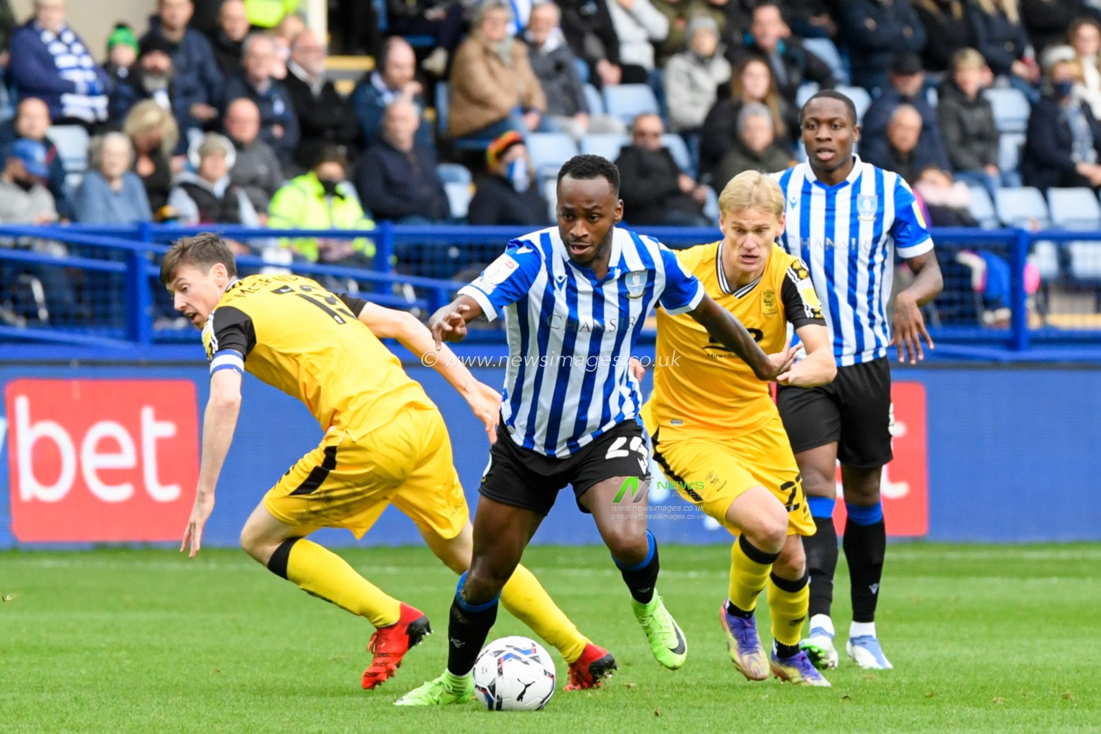 Saido Berahino #24 of Sheffield Wednesday starts an attacking move
