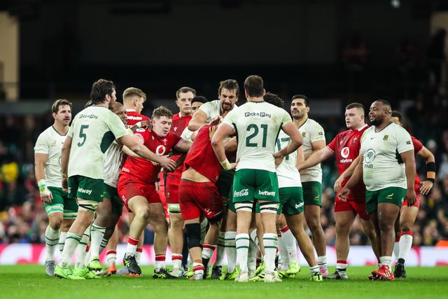 Eben Etzebeth of South Africa and Alex Mann of Wales get into a heated exchange during the Quilter Nations Series 2025 match Wales vs South Africa at Principality Stadium, Cardiff, United Kingdom, 29th November 2025

(Photo by Andrew Lewis/News Images)

*** GER AUT SUI OUT ***