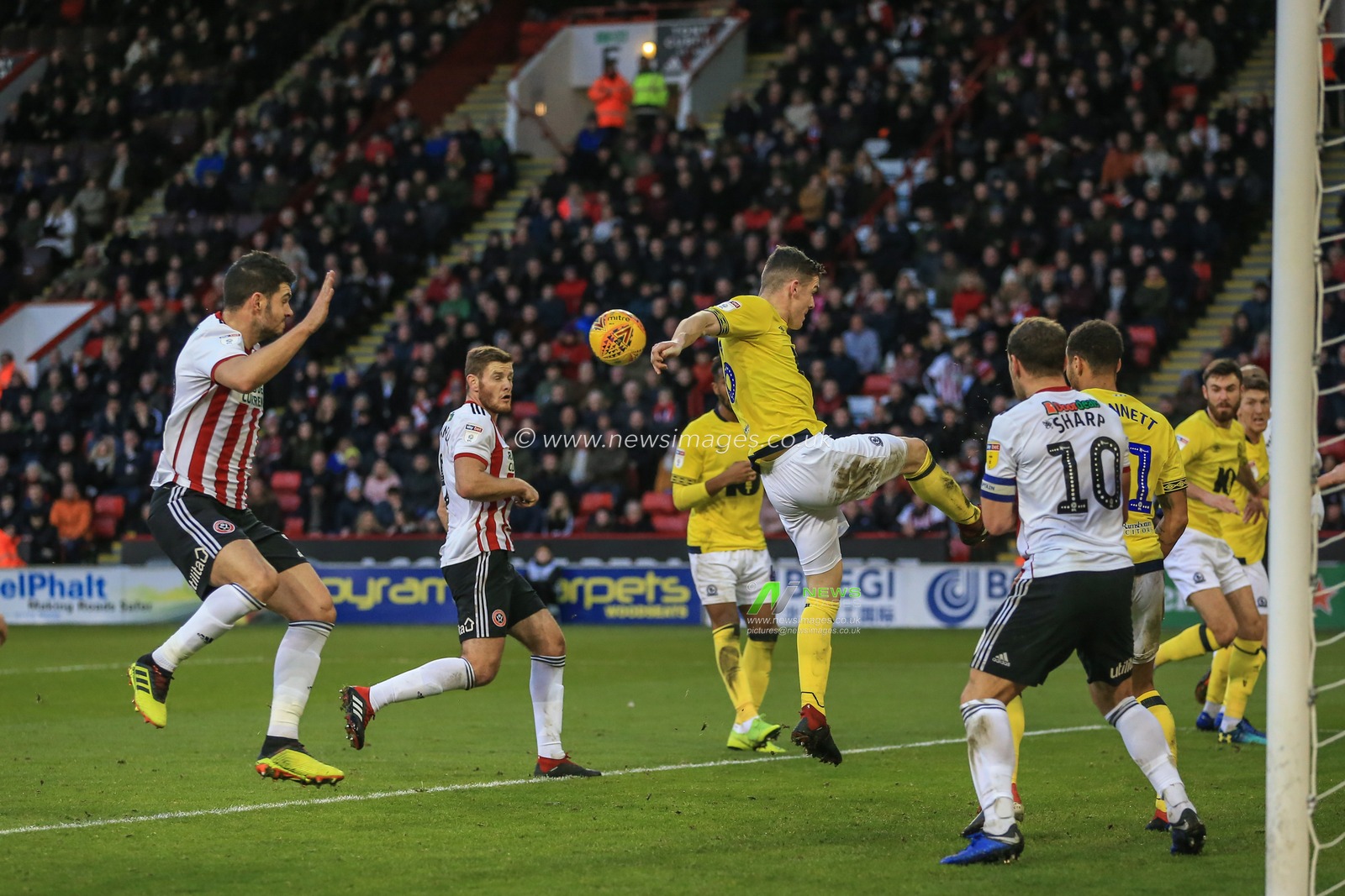 29th December 2018, Bramall Lane, Sheffield, England; Sky Bet Championship, Sheffield United vs Blackburn ; Richie Smallwood (06) of Blackburn clears the ball from inside the six yard box 


Credit: Mark Cosgrove/News Images

English Football League images are subject to DataCo Licence