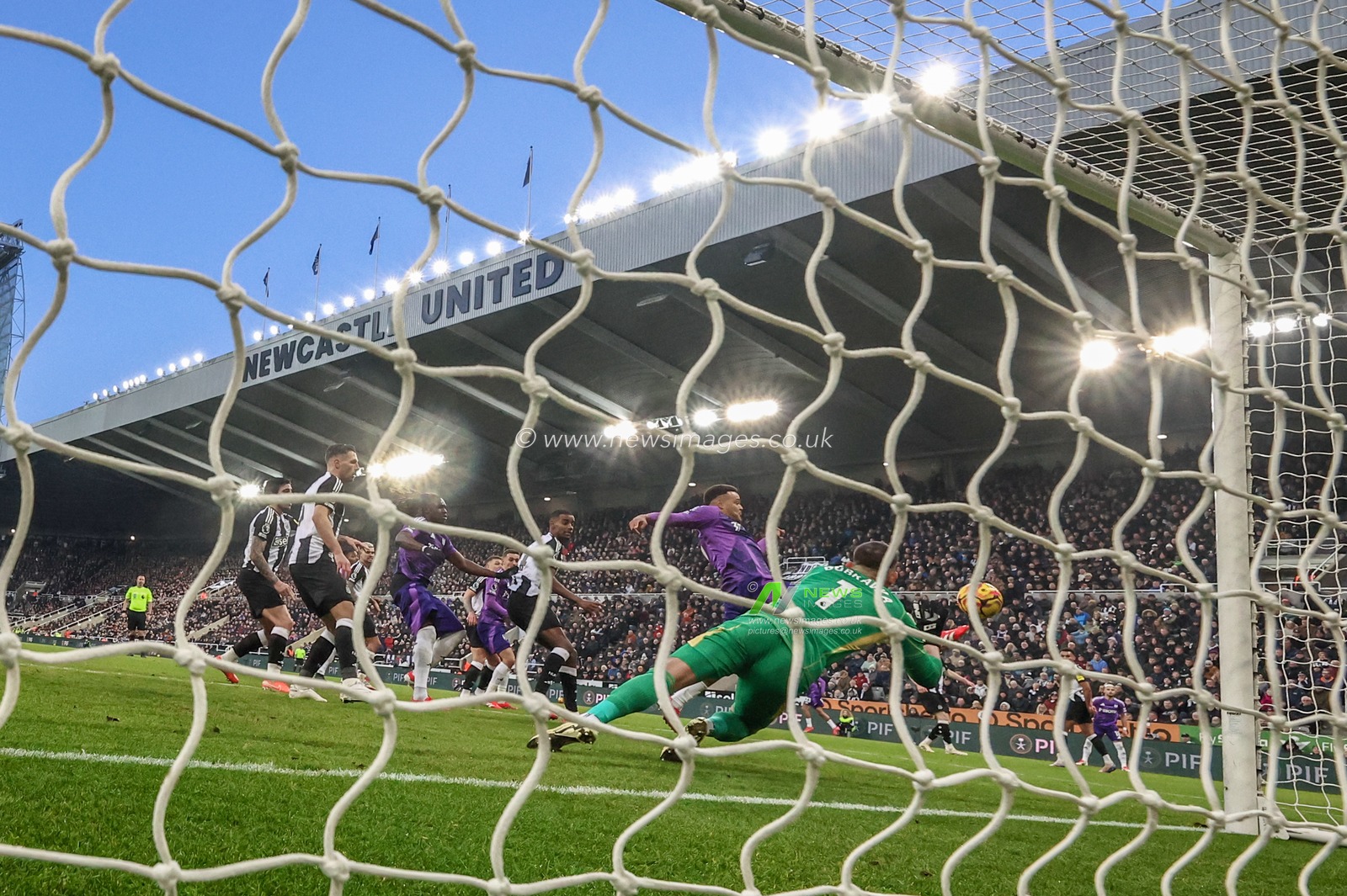 Rodrigo Muniz of Fulham scores to make it 1-2 during the Premier League match Newcastle United vs Fulham at St. James's Park, Newcastle, United Kingdom, 1st February 2025

(Photo by Mark Cosgrove/News Images)