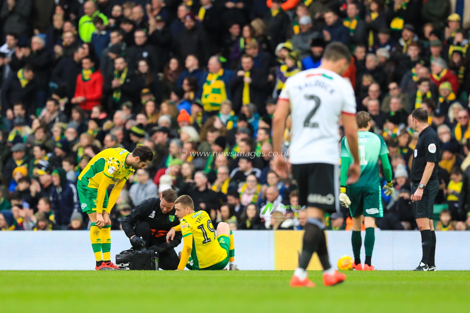 26th January 2019, Carrow Road, Norfolk, England; Sky Bet Championship, Norwich City vs Sheffield United ;  Tom Trybull (19) of Norwich City receives medical attention

Credit: Georgie Kerr/News Images

English Football League images are subject to DataCo Licence