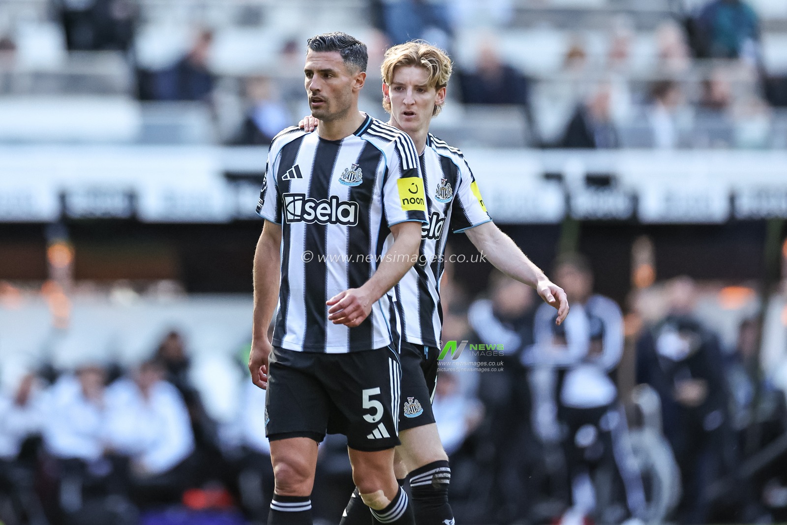Anthony Gordon of Newcastle United pats Fabian SchÃ¤r of Newcastle United on the shoulder during the Premier League match Newcastle United vs Everton at St. James's Park, Newcastle, United Kingdom, 25th May 2025

(Photo by Mark Cosgrove/News Images)