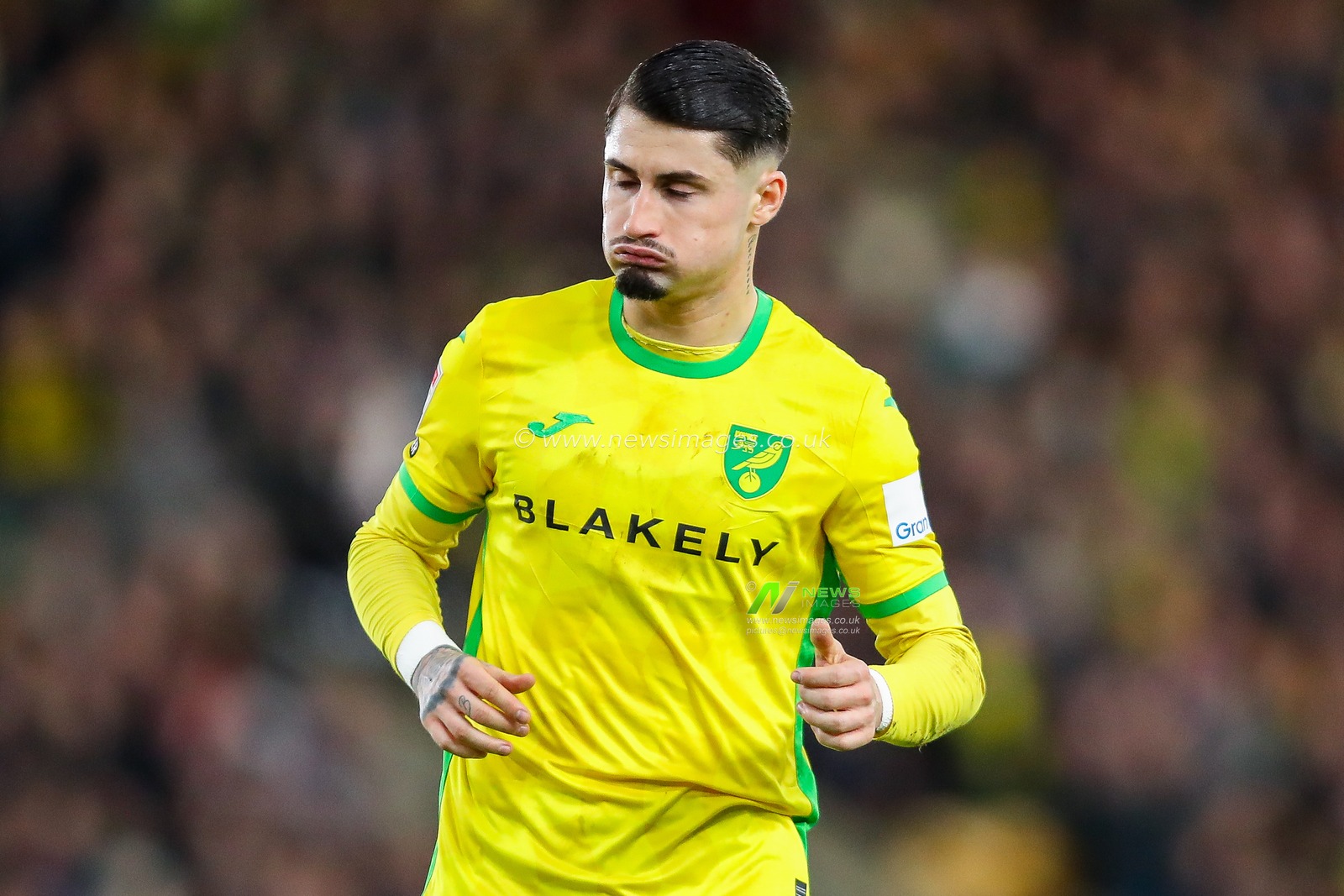 Borja Sainz of Norwich City reacts after a missed chance during the Sky Bet Championship match Norwich City vs Burnley at Carrow Road, Norwich, United Kingdom, 15th December 2024

(Photo by Izzy Poles/News Images)