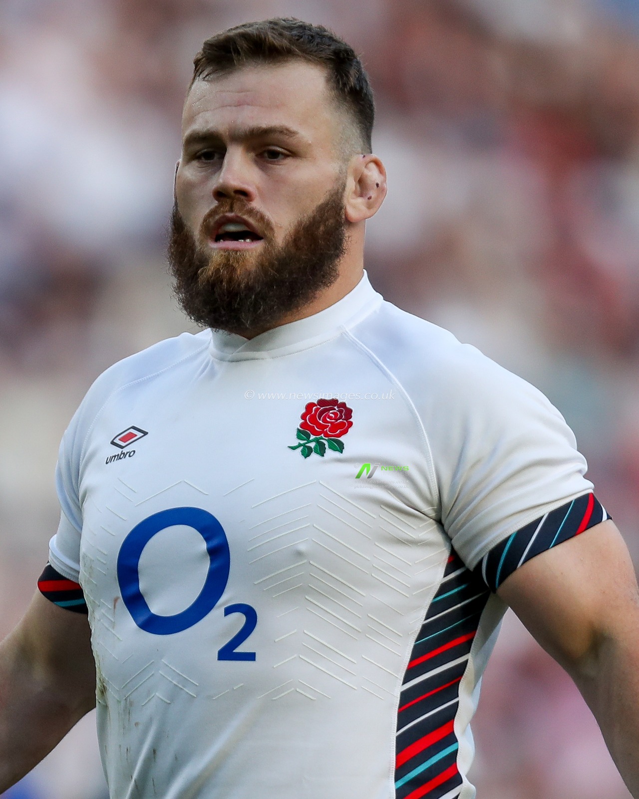 Luke Cowan-Dickie of England looks on during the 2025 Guinness 6 Nations match England vs Italy at Allianz Stadium, Twickenham, United Kingdom, 9th March 2025

(Photo by Izzy Poles/News Images)