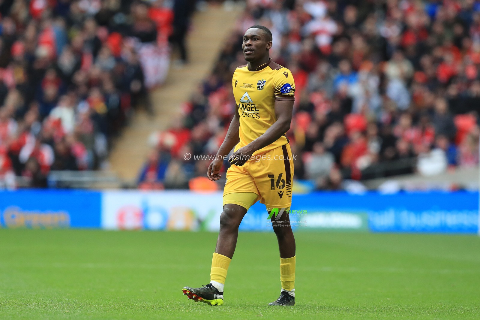 Isaac Olaofe #16 of Sutton United in action.