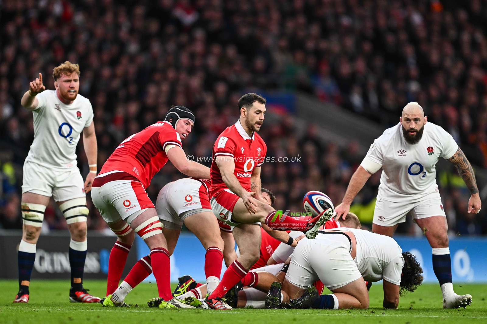 Tomos Williams of Wales chips ahead during the 2024 Guinness 6 Nations match England vs Wales at Twickenham Stadium, Twickenham, United Kingdom, 10th February 2024

(Photo by Craig Thomas/News Images)