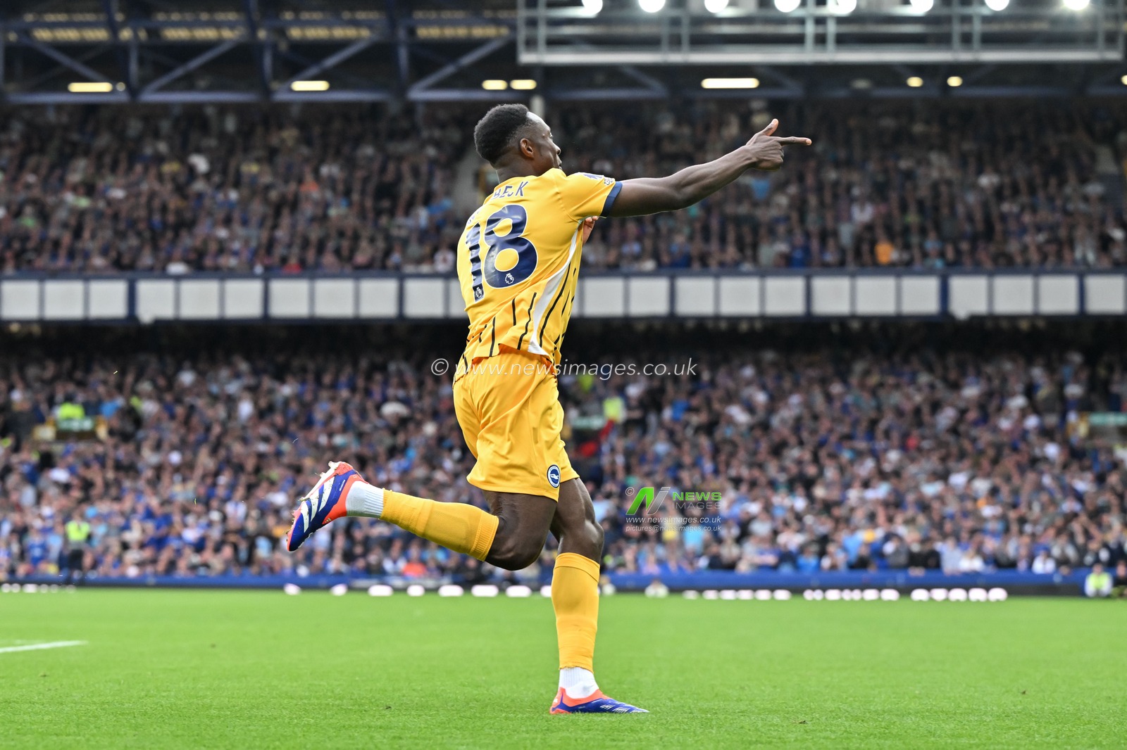 Danny Welbeck of Brighton & Hove Albion celebrates his goal to make it 0-2 Brighton during the Premier League match Everton vs Brighton and Hove Albion at Goodison Park, Liverpool, United Kingdom, 17th August 2024

(Photo by Cody Froggatt/News Images)