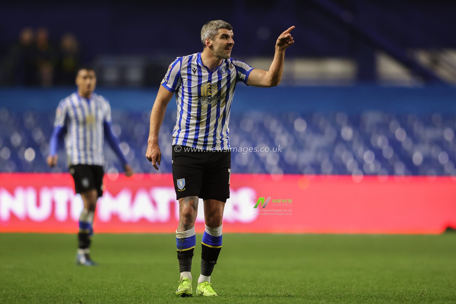 Callum Paterson of Sheffield Wednesday gives his team instructions during the Sky Bet Championship match Sheffield Wednesday vs Norwich City at Hillsborough, Sheffield, United Kingdom, 5th November 2024

(Photo by Alfie Cosgrove/News Images)