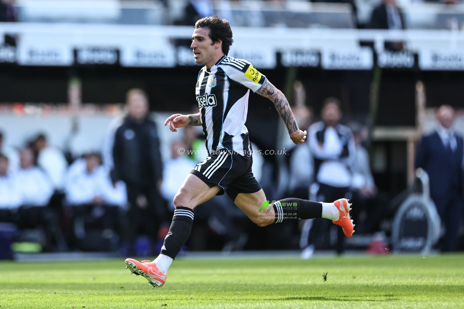 Sandro Tonali of Newcastle United during the Premier League match Newcastle United vs Everton at St. James's Park, Newcastle, United Kingdom, 25th May 2025

(Photo by Mark Cosgrove/News Images)