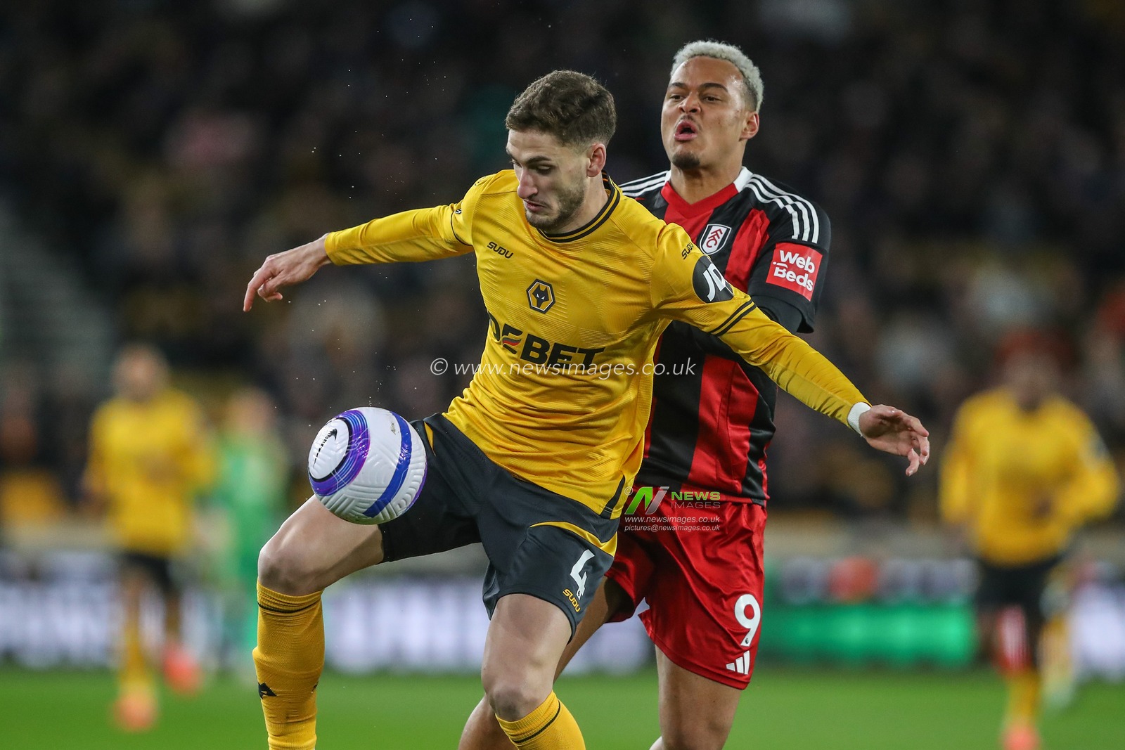 Santiago Bueno of Wolverhampton Wanderers holds off Rodrigo Muniz of Fulham during the Premier League match Wolverhampton Wanderers vs Fulham at Molineux, Wolverhampton, United Kingdom, 25th February 2025

(Photo by Gareth Evans/News Images)
