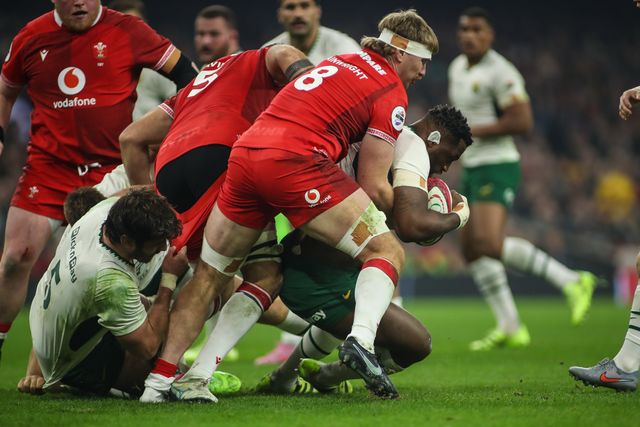 Jasper Wiese of South Africa is tackled by Aaron Wainwright of Wales during the Quilter Nations Series 2025 match Wales vs South Africa at Principality Stadium, Cardiff, United Kingdom, 29th November 2025

(Photo by Andrew Lewis/News Images)

*** GER AUT SUI OUT ***