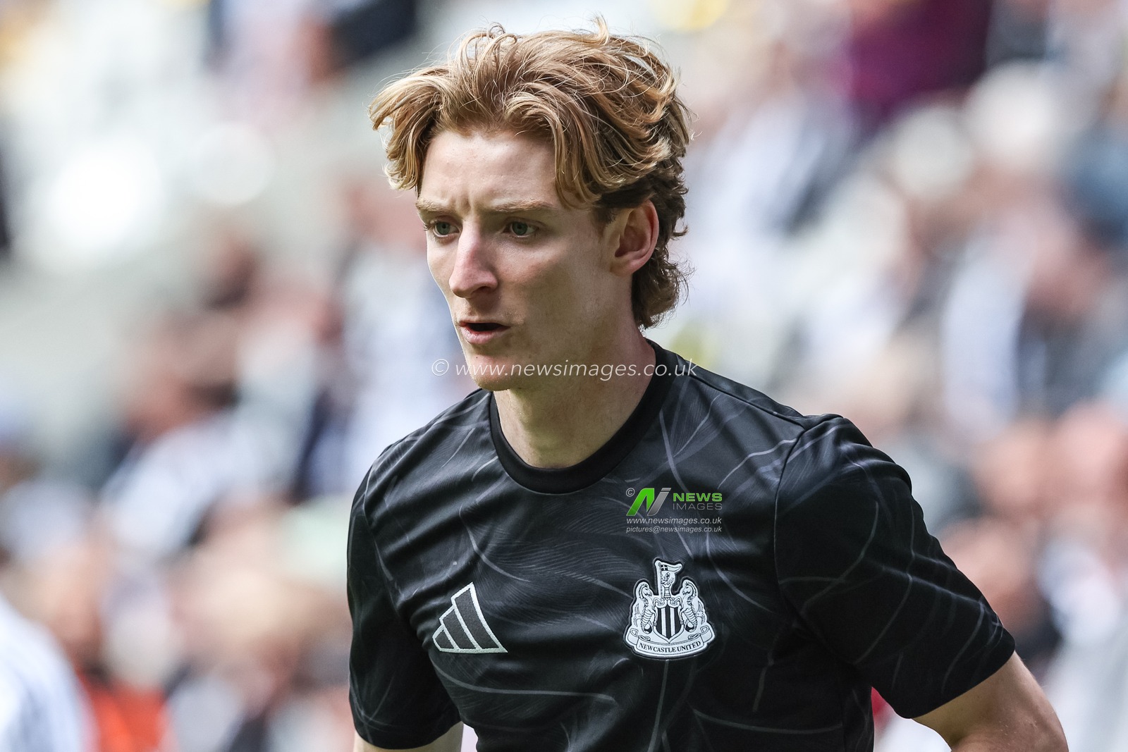 Anthony Gordon of Newcastle United in the pregame warmup session during the Premier League match Newcastle United vs Everton at St. James's Park, Newcastle, United Kingdom, 25th May 2025

(Photo by Mark Cosgrove/News Images)