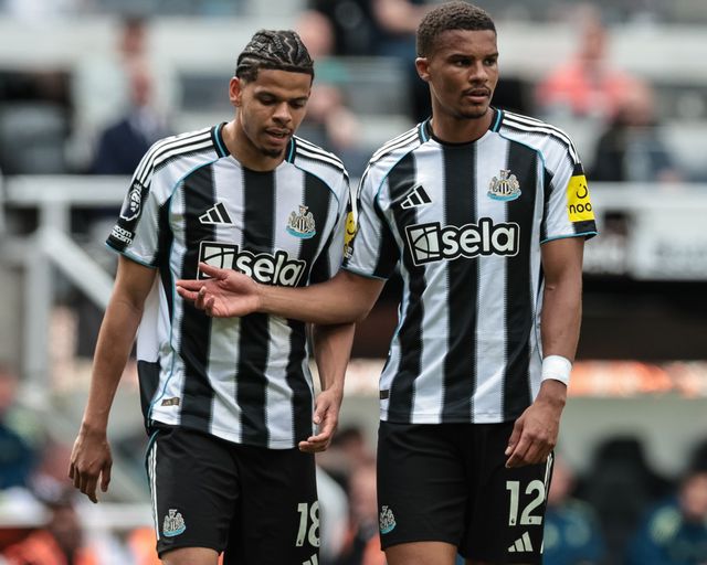 Premier League: Newcastle Untied v Brighton & Hove Albion
