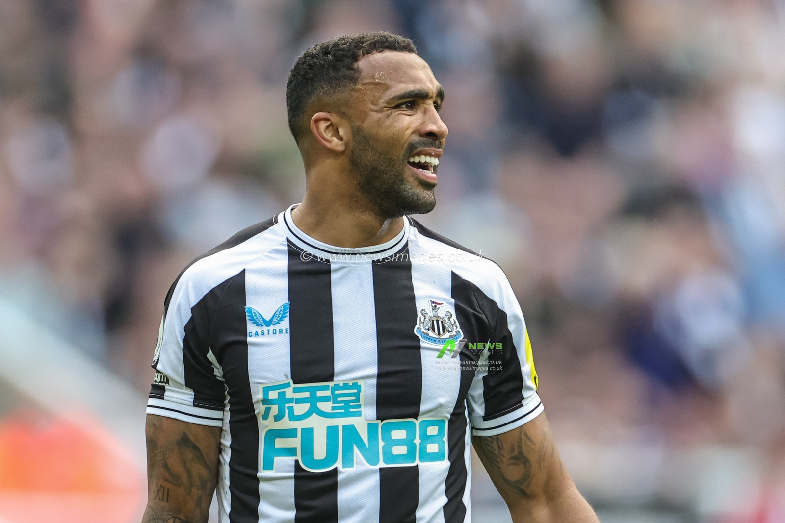 Callum Wilson #9 of Newcastle United during the Premier League match Newcastle United vs Arsenal at St. James's Park, Newcastle, United Kingdom, 7th May 2023

(Photo by Mark Cosgrove/News Images)