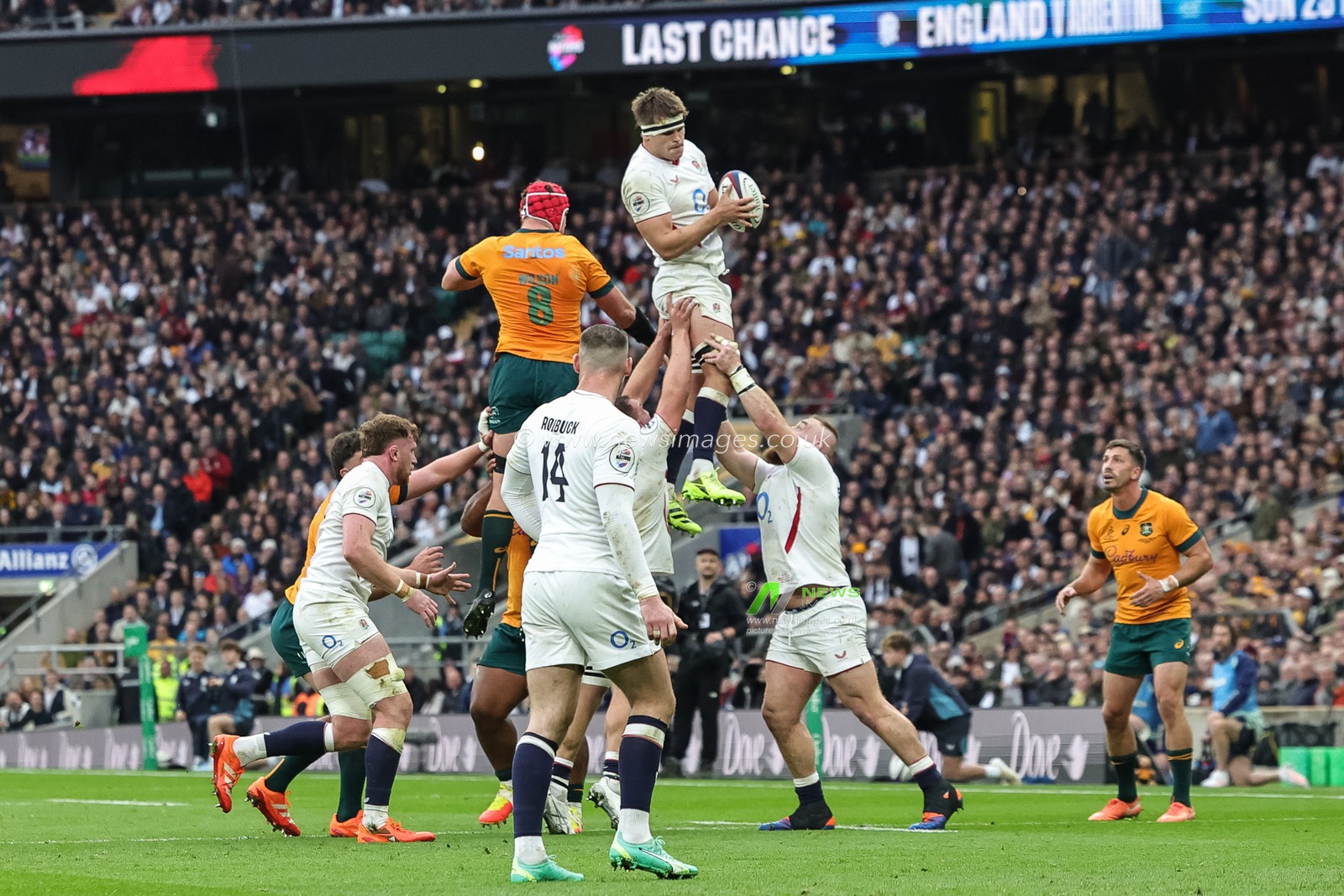 Guy Pepper of England jumps up to win the ball in a lineout during the Quilter Nations Series 2025 match England vs Australia at Allianz Stadium, Twickenham, United Kingdom, 1st November 2025

(Photo by Mark Cosgrove/News Images)

*** GER AUT SUI OUT ***