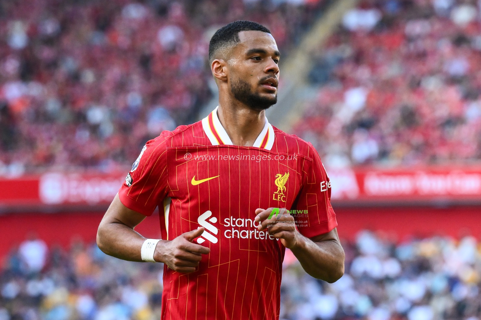 Cody Gakpo of Liverpool during the Premier League match Liverpool vs Wolverhampton Wanderers at Anfield, Liverpool, United Kingdom, 19th May 2024

(Photo by Craig Thomas/News Images)