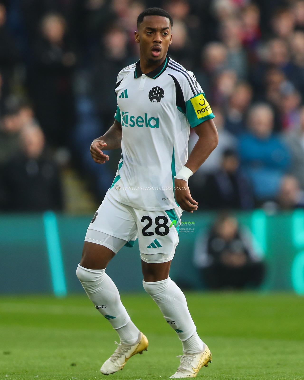 Joe Willock of Newcastle United during the Premier League match Crystal Palace vs Newcastle United at Selhurst Park, London, United Kingdom, 30th November 2024

(Photo by Gareth Evans/News Images)