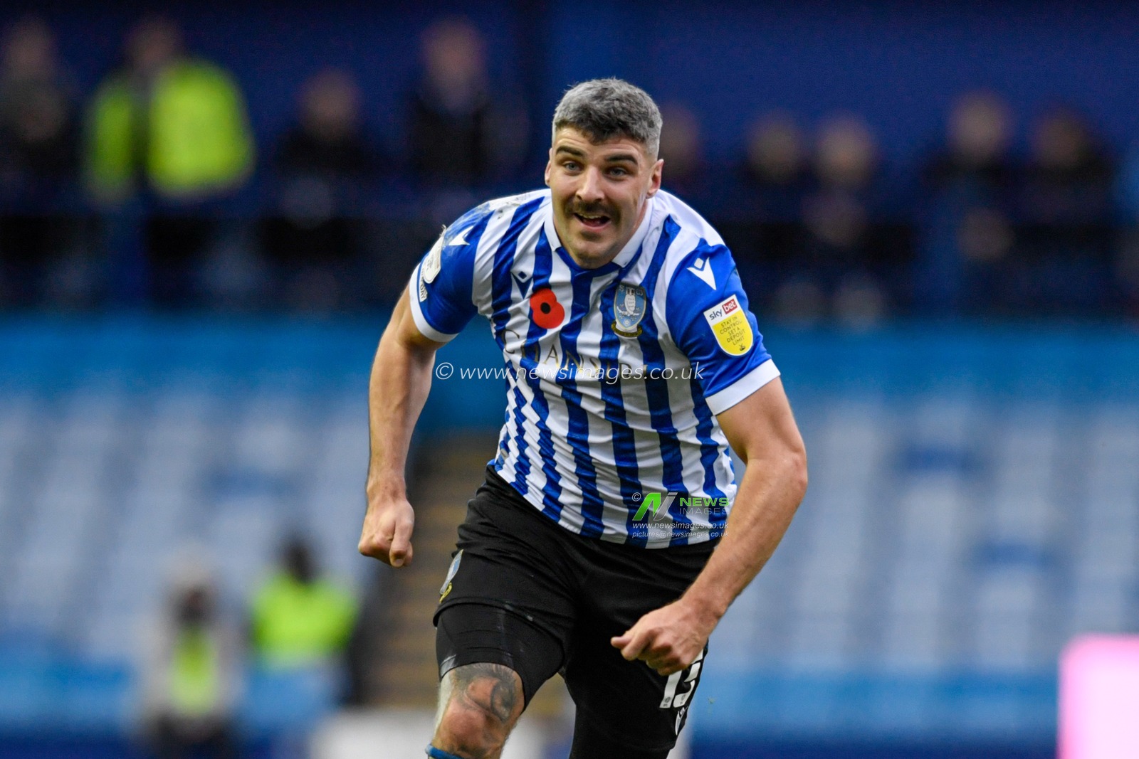 Callum Paterson #13 of Sheffield Wednesday in action during the game