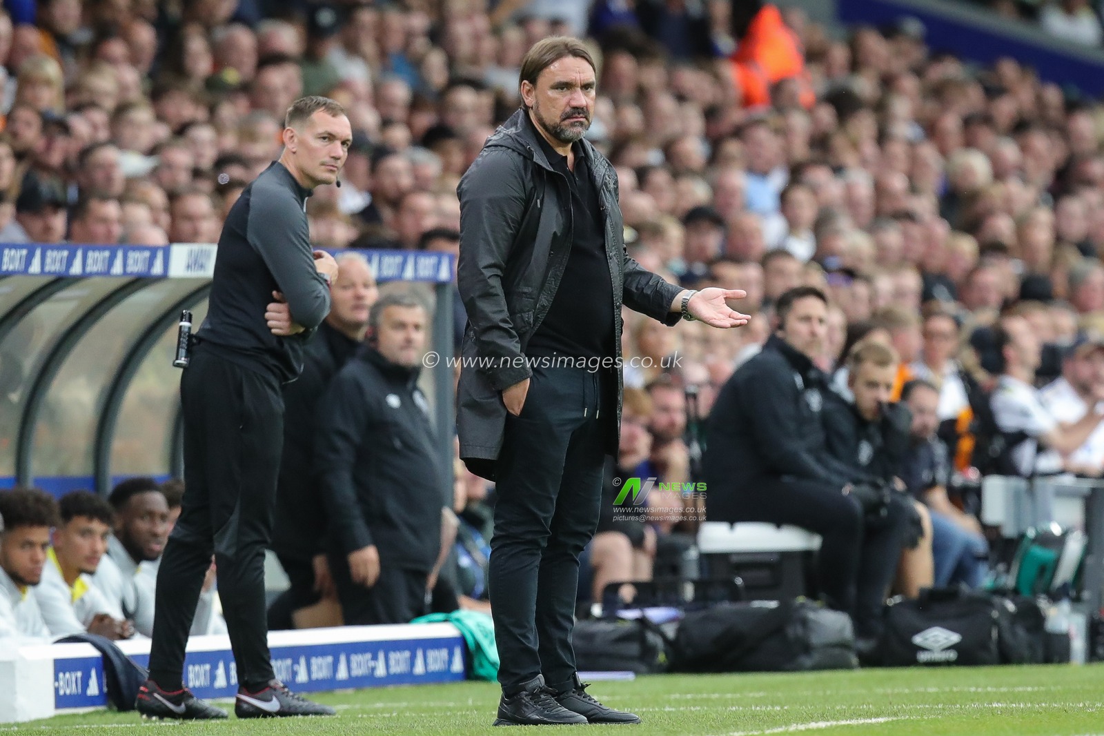 Daniel Farke manager of Leeds United gestures and reacts during the Carabao Cup match Leeds United vs Shrewsbury Town at Elland Road, Leeds, United Kingdom, 9th August 2023

(Photo by James Heaton/News Images)