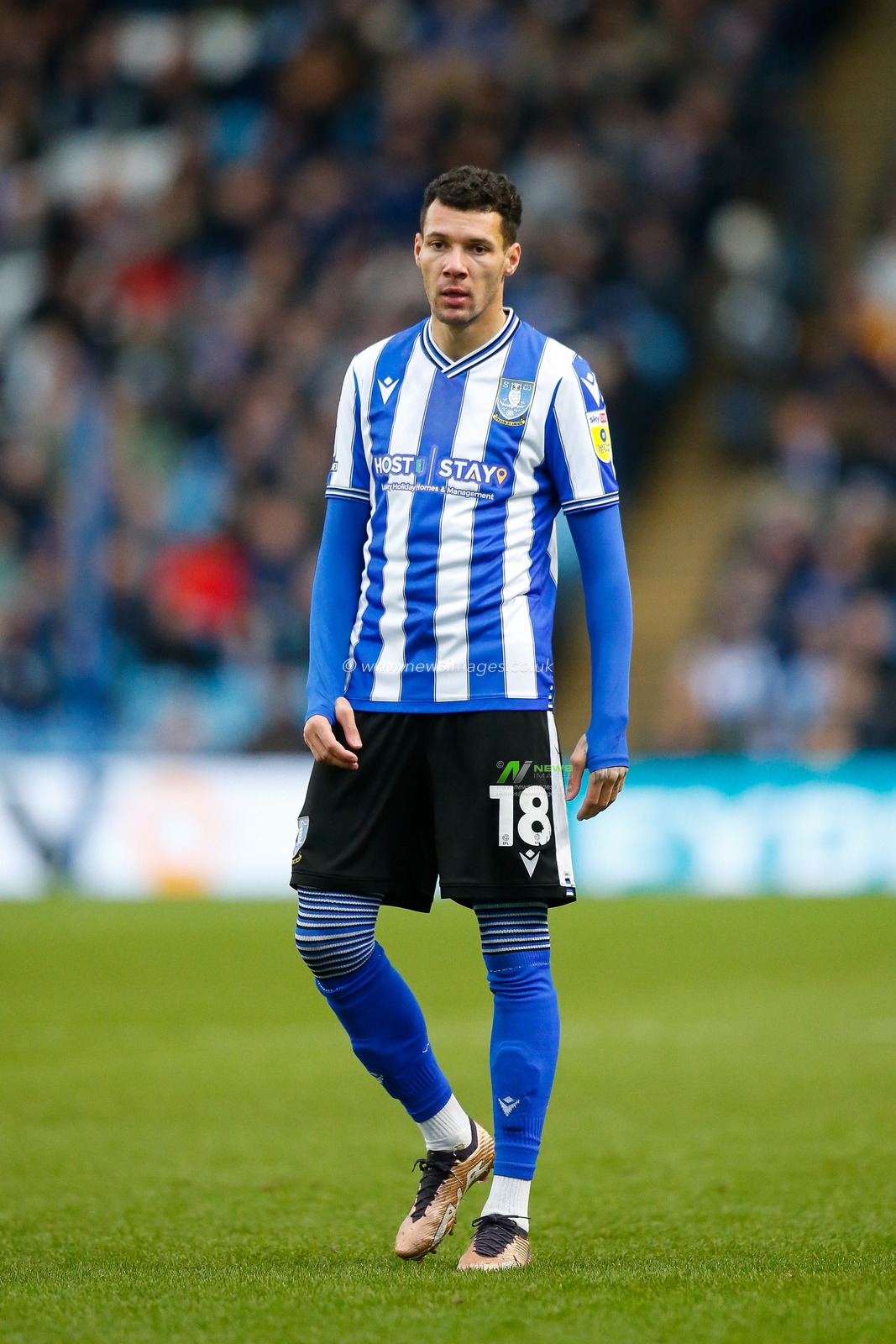 Marvin Johnson #18 of Sheffield Wednesday during the Sky Bet League 1 match Sheffield Wednesday vs Cambridge United at Hillsborough, Sheffield, United Kingdom, 2nd January 2023

(Photo by Ben Early/News Images)
