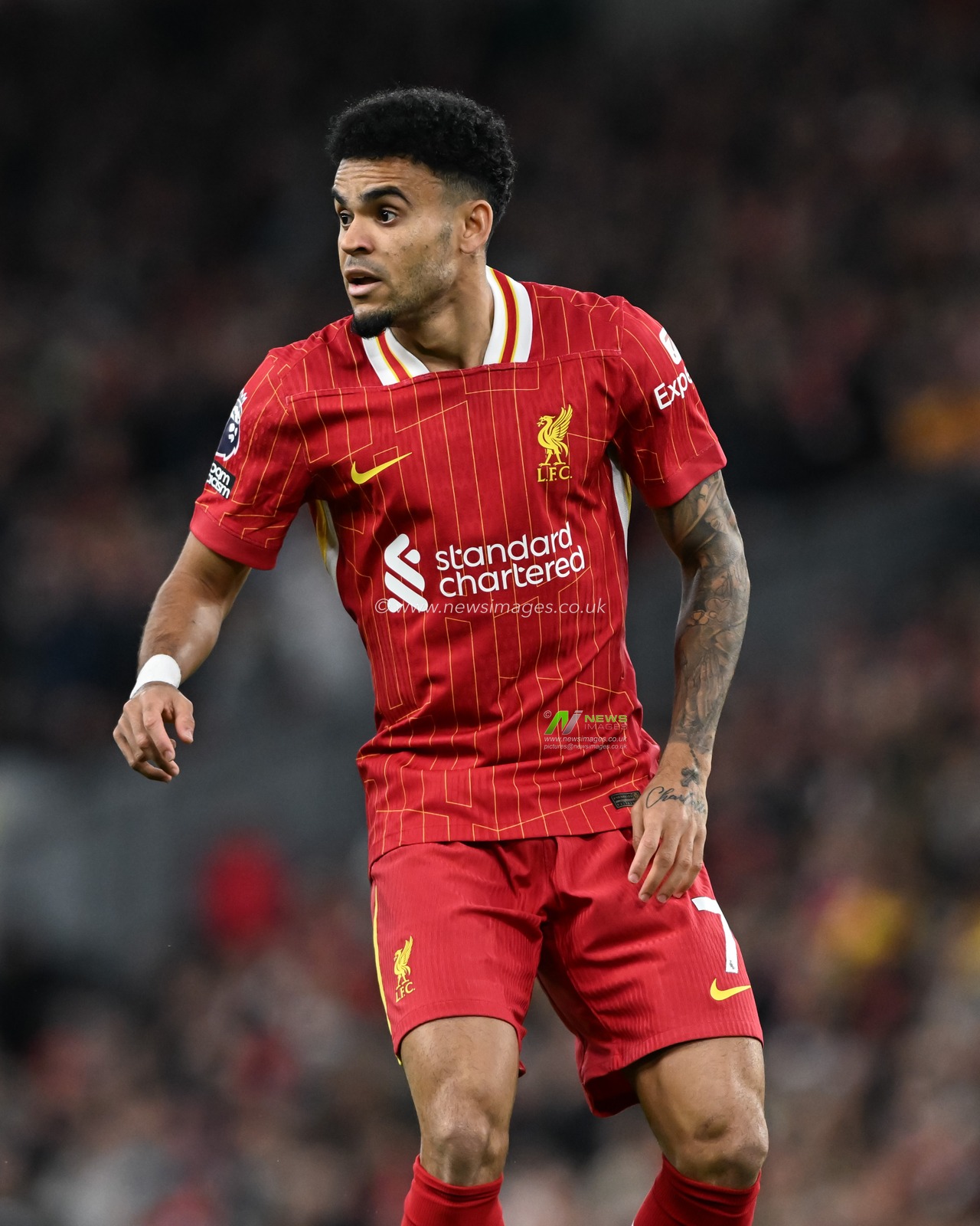 Luis DÃ­az of Liverpool during the Premier League match Liverpool vs Brighton and Hove Albion at Anfield, Liverpool, United Kingdom, 2nd November 2024

(Photo by Cody Froggatt/News Images)