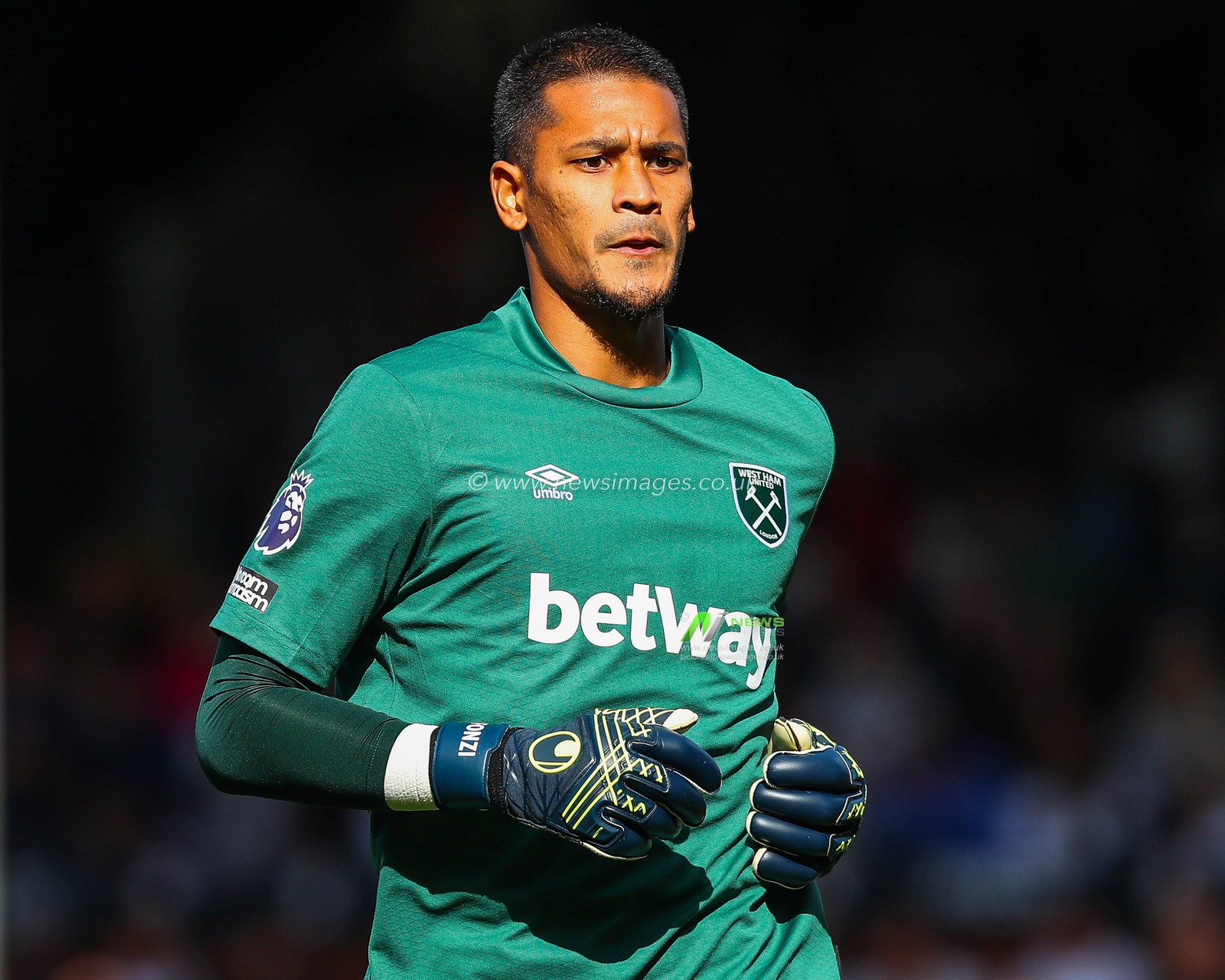 Alphonse Areola of West Ham United looks on during the Premier League match Fulham vs West Ham United at Craven Cottage, London, United Kingdom, 14th September 2024

(Photo by Izzy Poles/News Images)