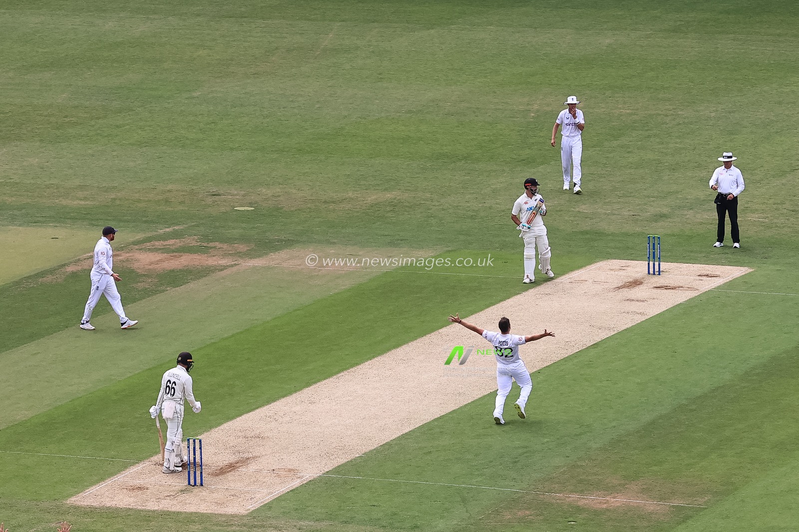 Matthew Potts of England celebrates taking Tom Blundell of New Zealandâ€™s wicket