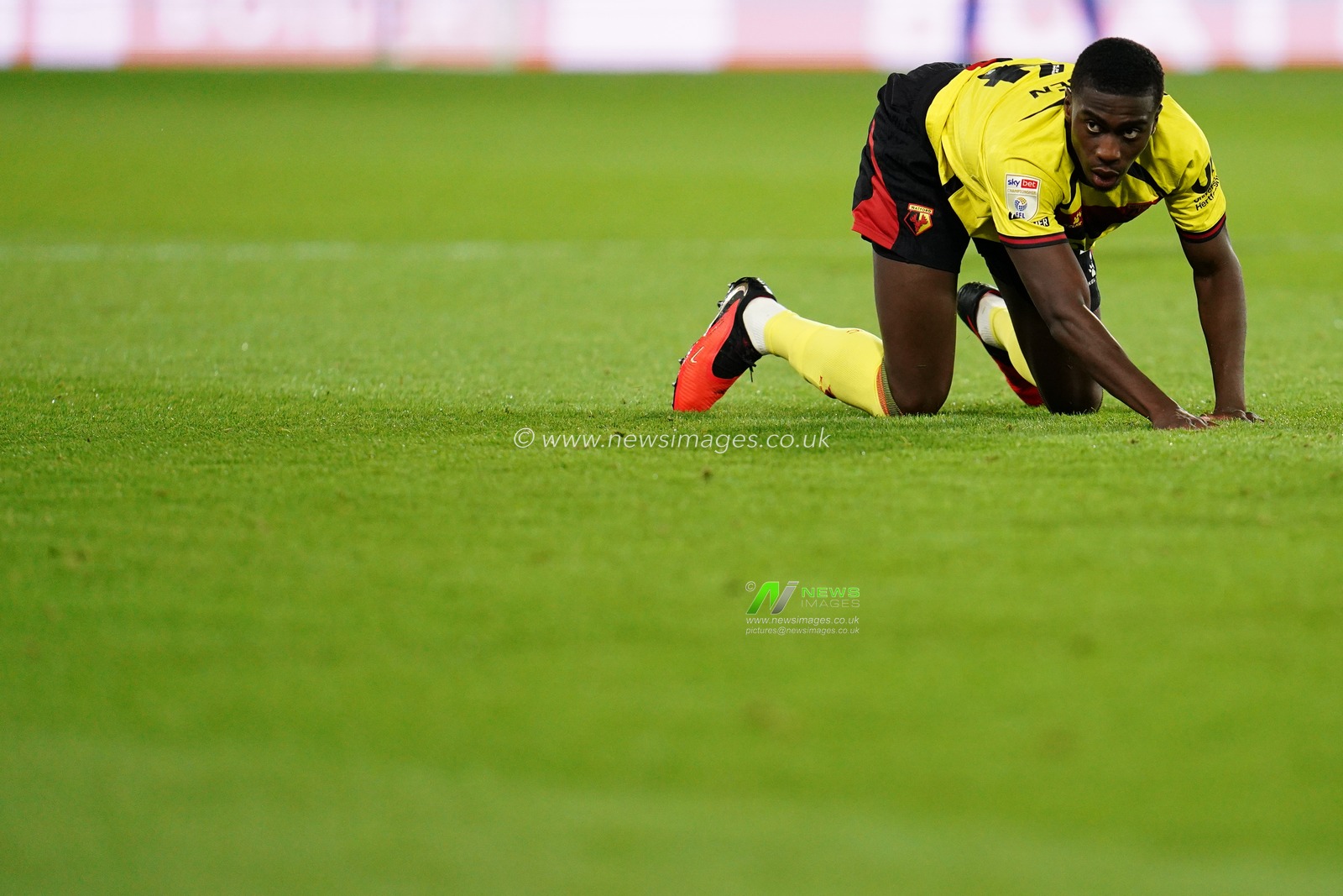Kevin Keben of Watford during the Sky Bet Championship match Watford vs Preston North End at Vicarage Road, Watford, United Kingdom on 08 September 2026

(Photo by Harvey Murphy/News Images)