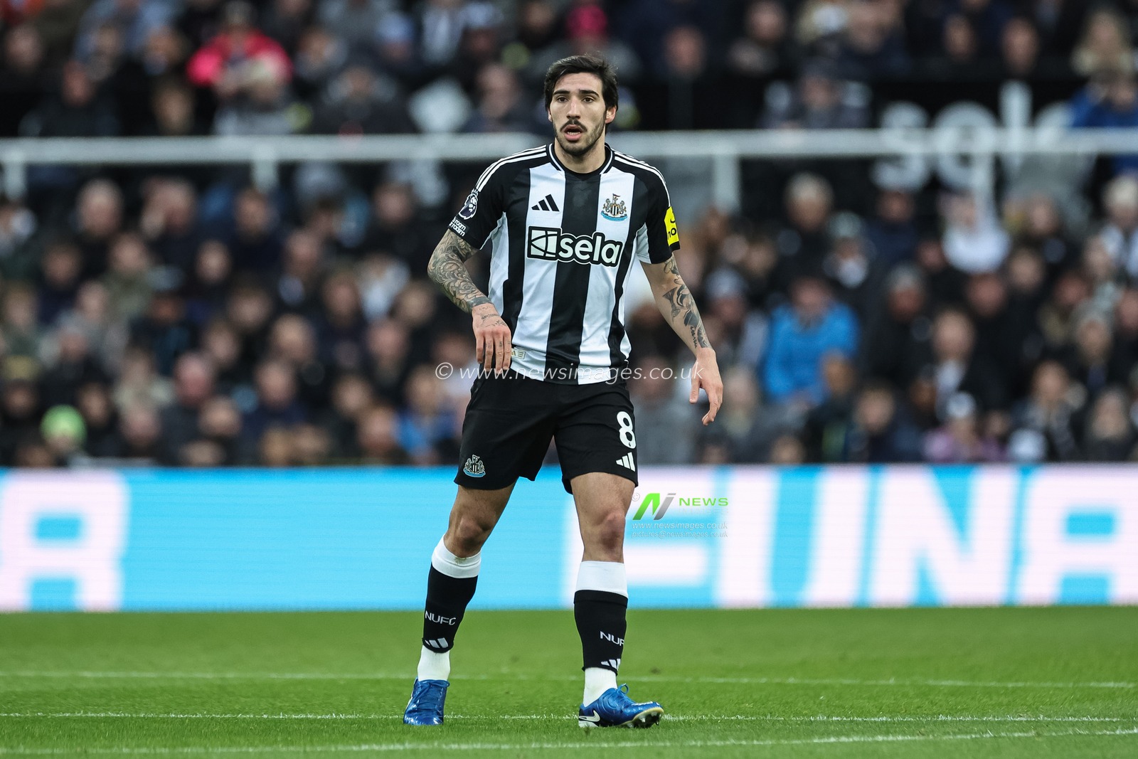 Sandro Tonali of Newcastle United during the Premier League match Newcastle United vs Leicester City at St. James's Park, Newcastle, United Kingdom, 14th December 2024

(Photo by Mark Cosgrove/News Images)