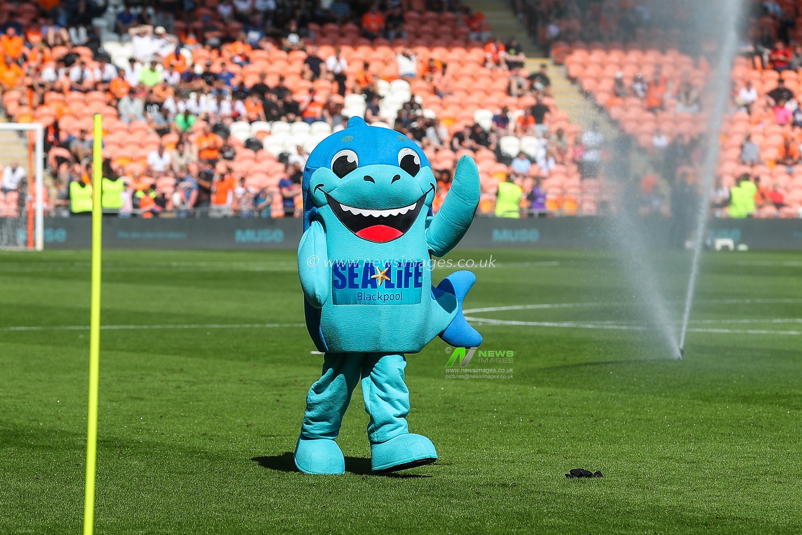 during the Sky Bet League 1 match Blackpool vs Wycombe Wanderers at Bloomfield Road, Blackpool, United Kingdom, 31st August 2024

(Photo by Gareth Evans/News Images)