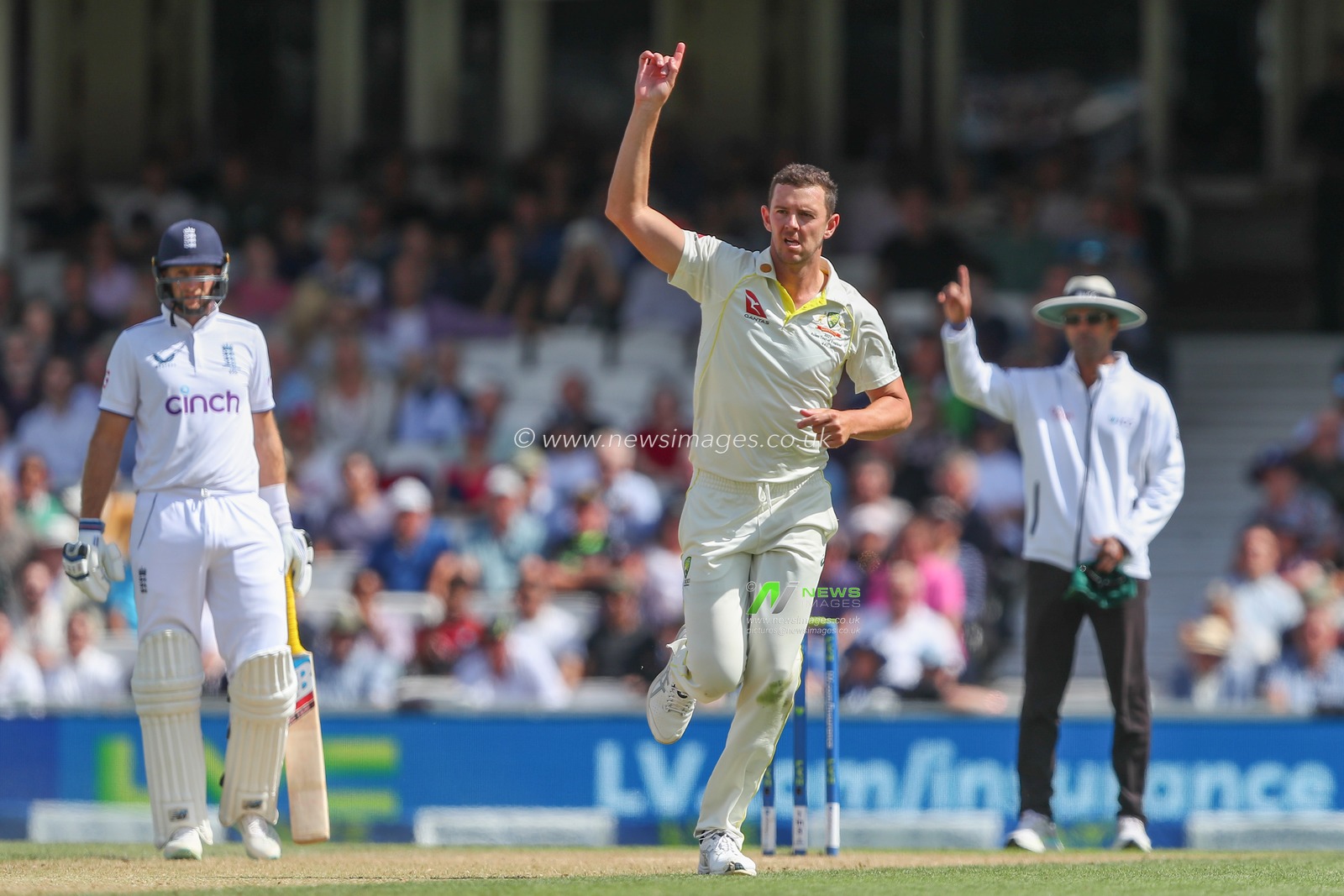Josh Hazlewood of Australia celebrates the dismissal of Harry Brook of England during the LV= Insurance Ashes Fifth Test Series Day Three match England vs Australia at The Kia Oval, London, United Kingdom, 29th July 2023

(Photo by Gareth Evans/News Images)