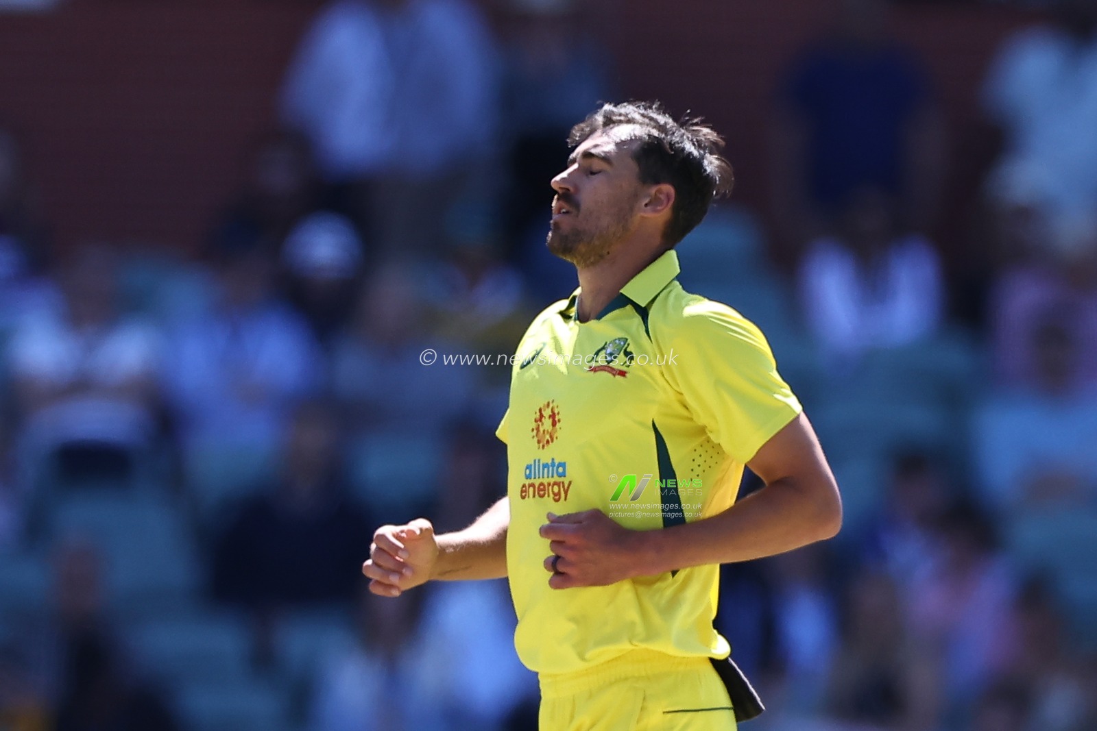 Mitchell Starc of Australia looks dejected  during the Dettol ODI Series match Australia vs England at Adelaide Oval, Adelaide, Australia, 17th November 2022

(Photo by Patrick Hoelscher/News Images)