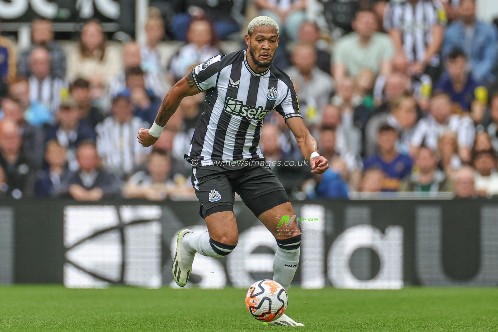 Joelinton #7 of Newcastle United breaks with the ball during the Premier League match Newcastle United vs Liverpool at St. James's Park, Newcastle, United Kingdom, 27th August 2023

(Photo by Mark Cosgrove/News Images)